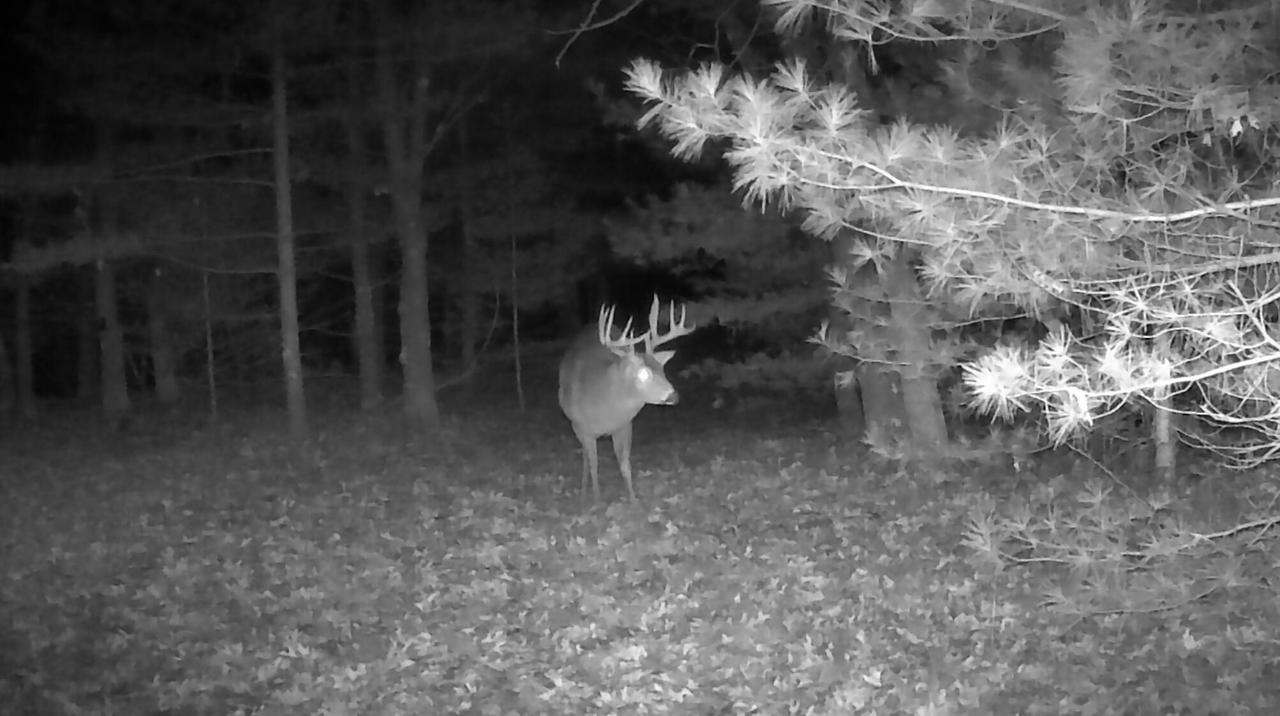 N9495 Radcliffe ROAD 2