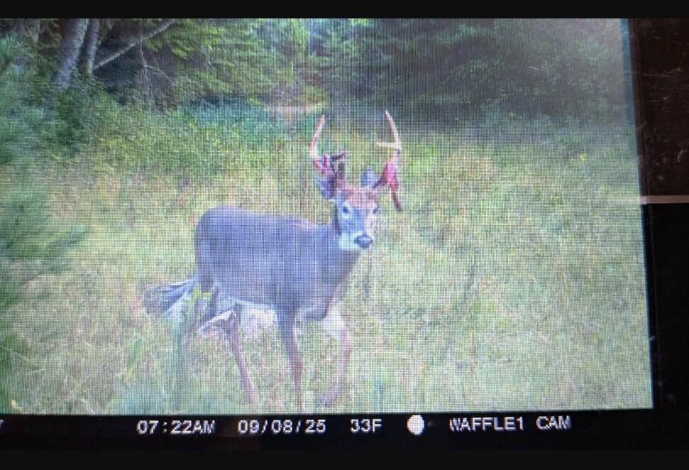 Lot 17 RIVER ROAD