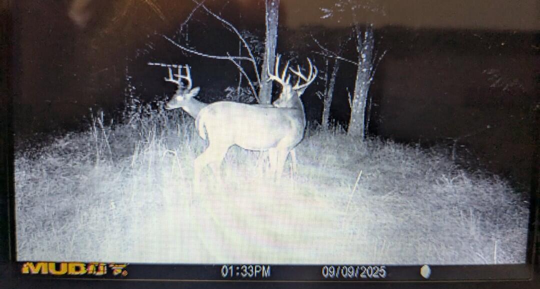 Lot 21 RIVER ROAD