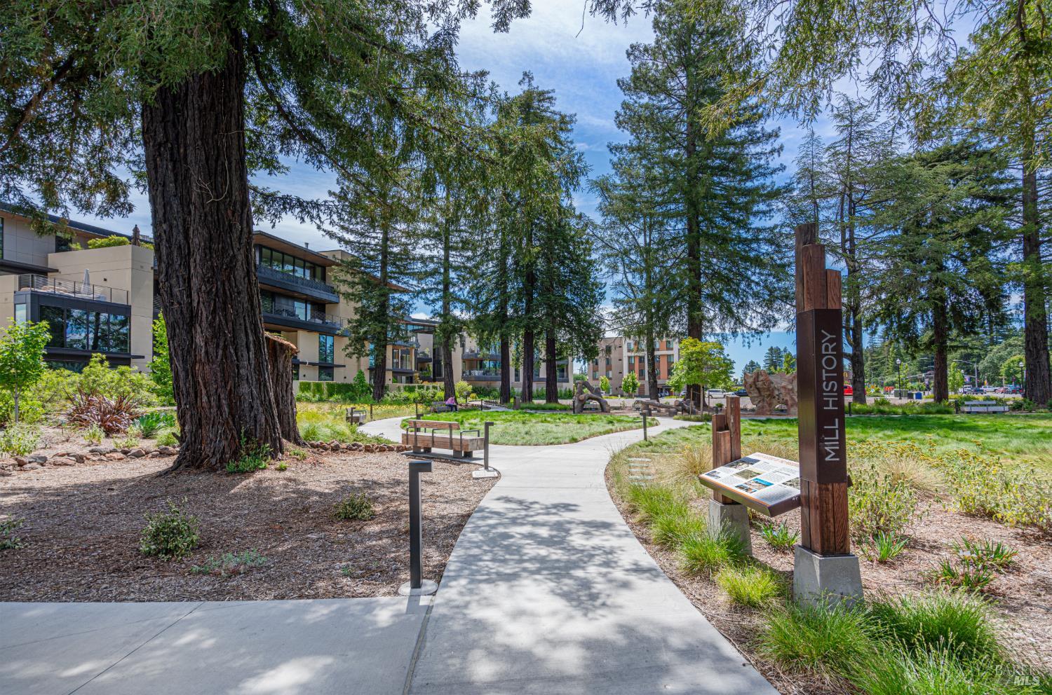 164 Healdsburg Avenue