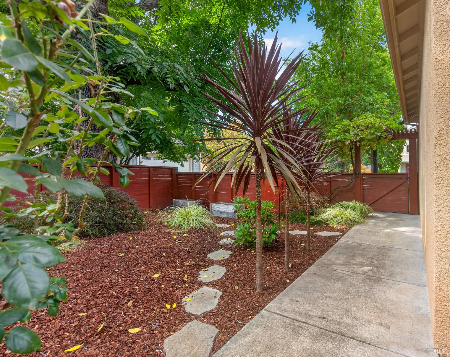 Landscaped side yard with a concrete walkway, red fencing, and a prominent burgundy spiky plant.