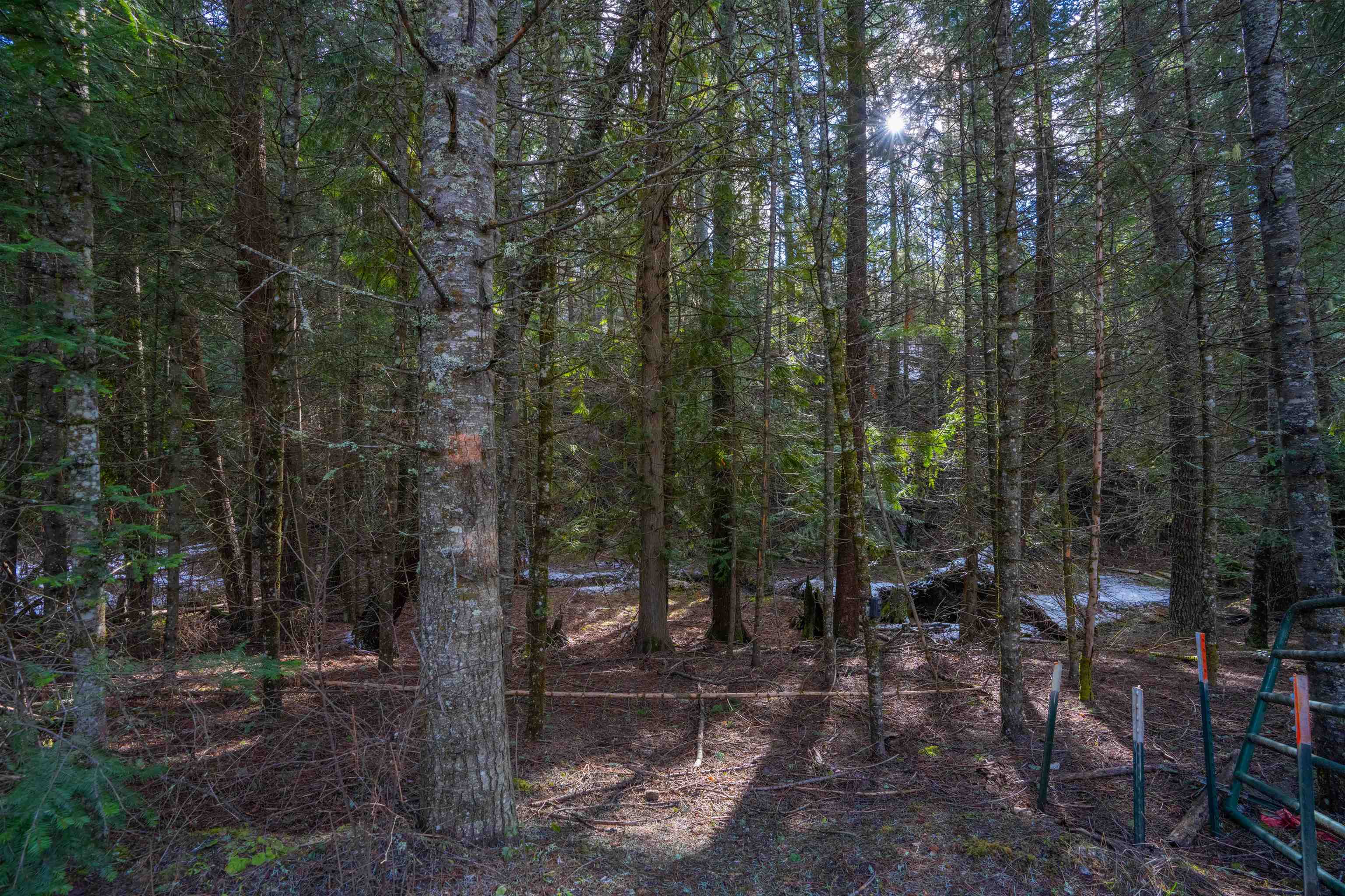 17000 N Jackson Rd