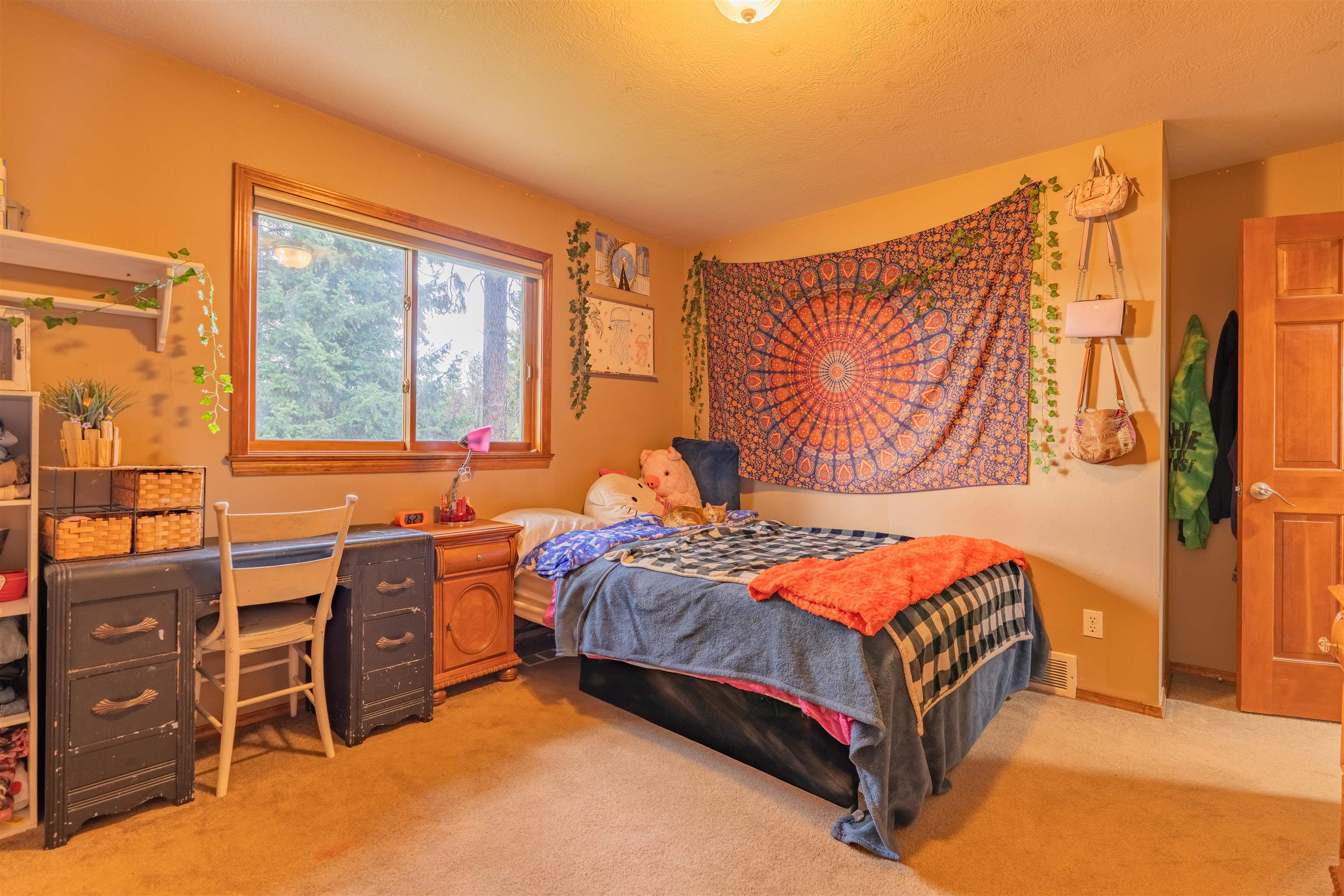 13213 N Whitehouse St