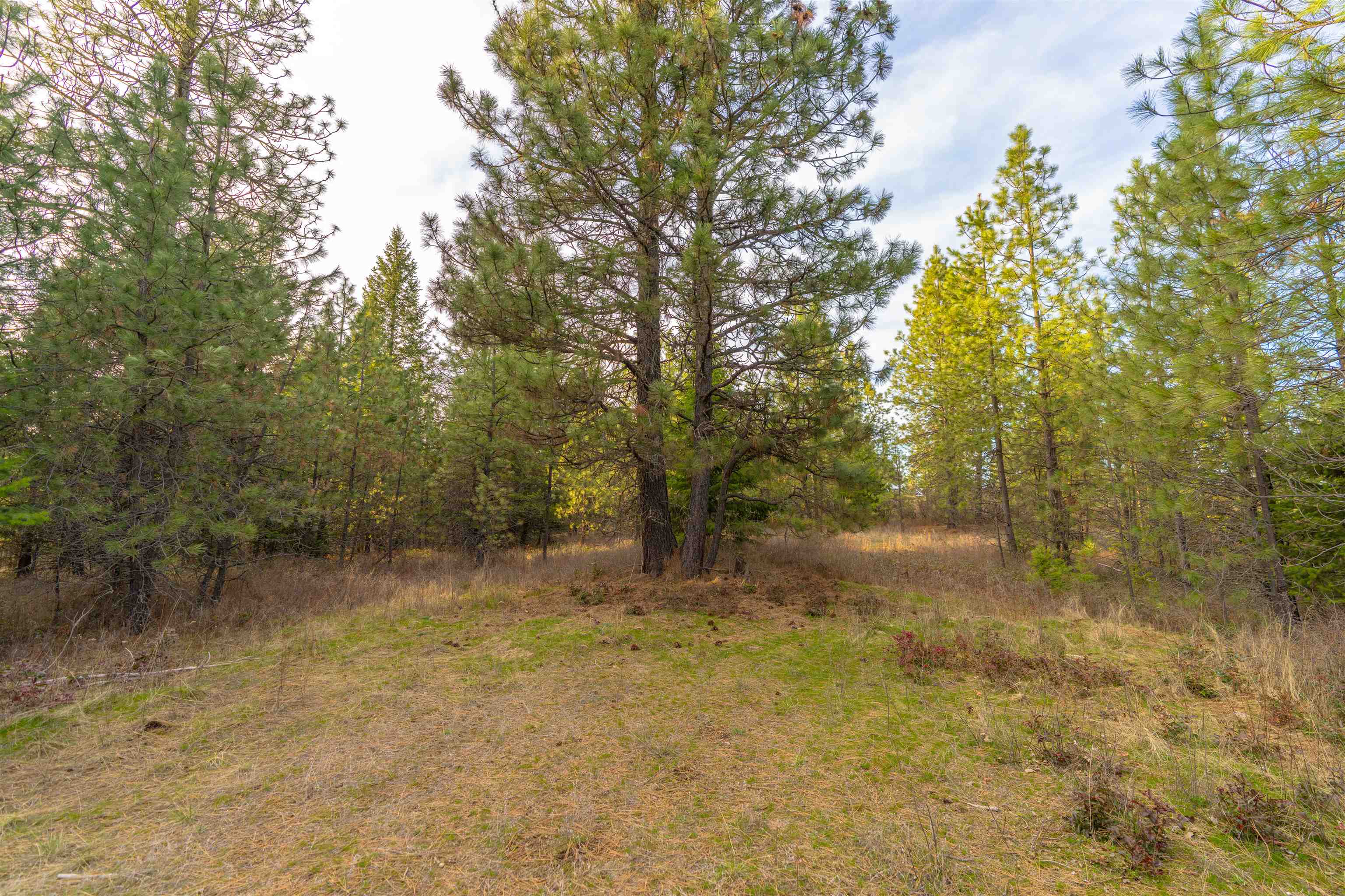 TBD LOT 30 E North Park Ln