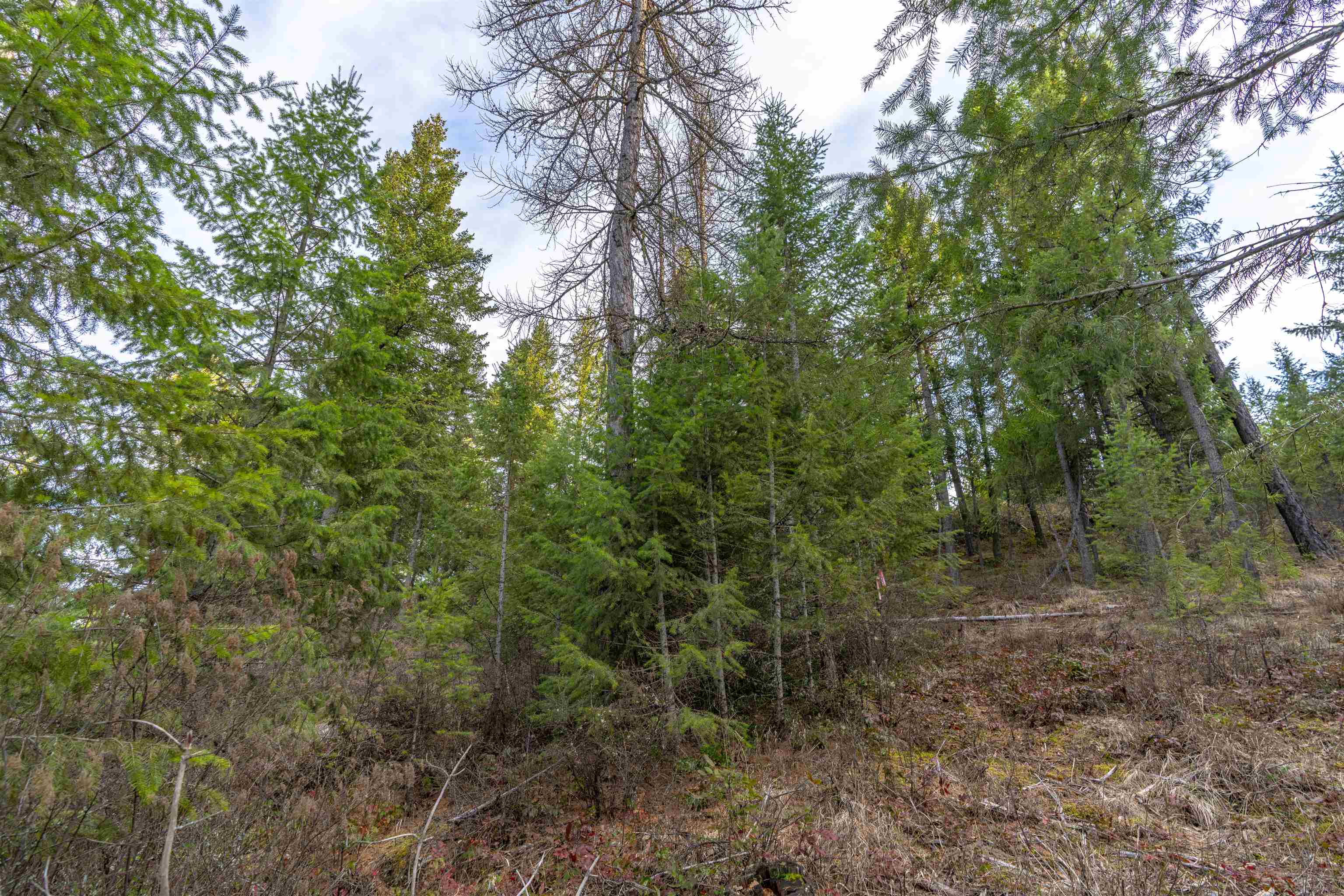 TBD LOT 30 E North Park Ln