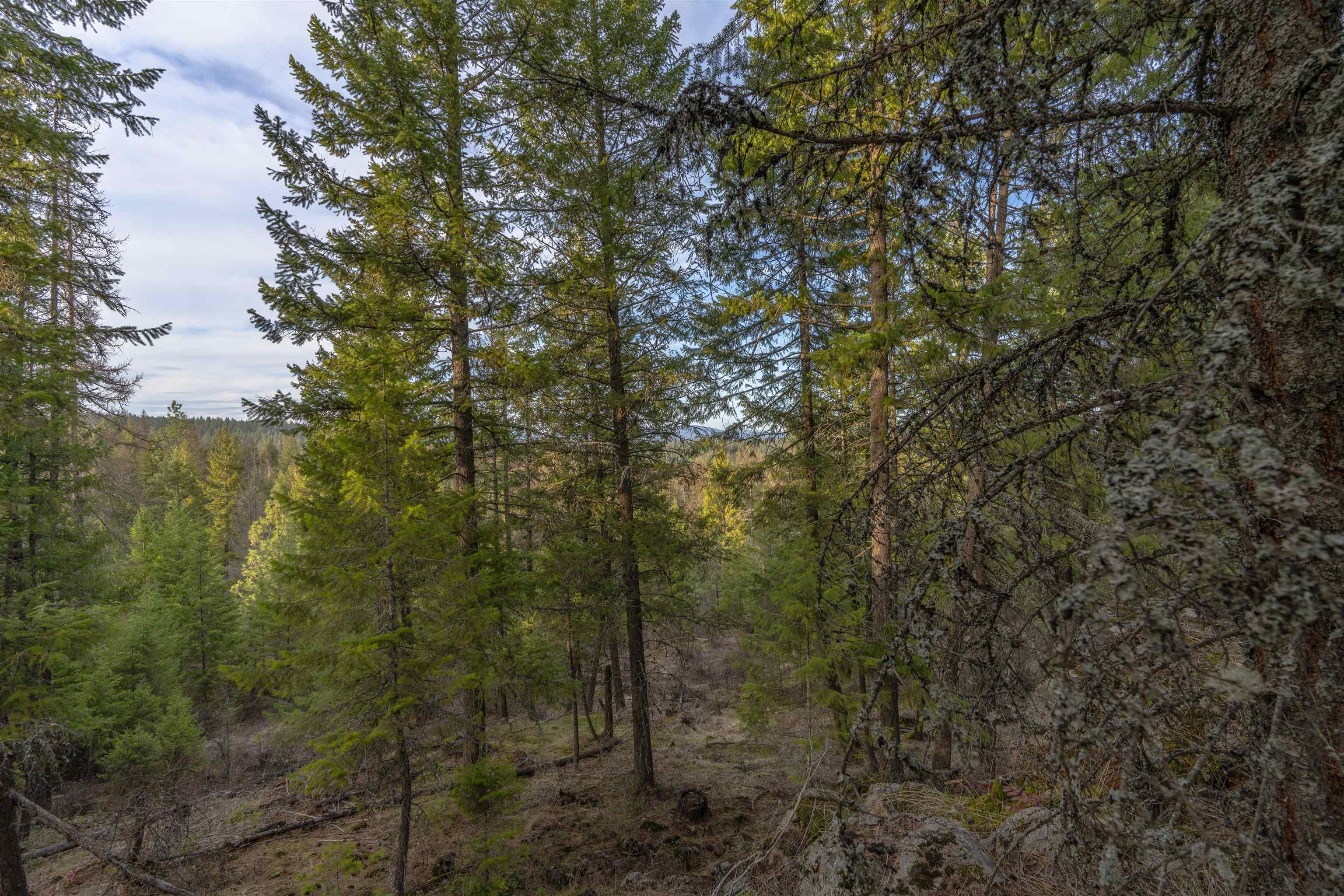 TBD LOT 30 E North Park Ln