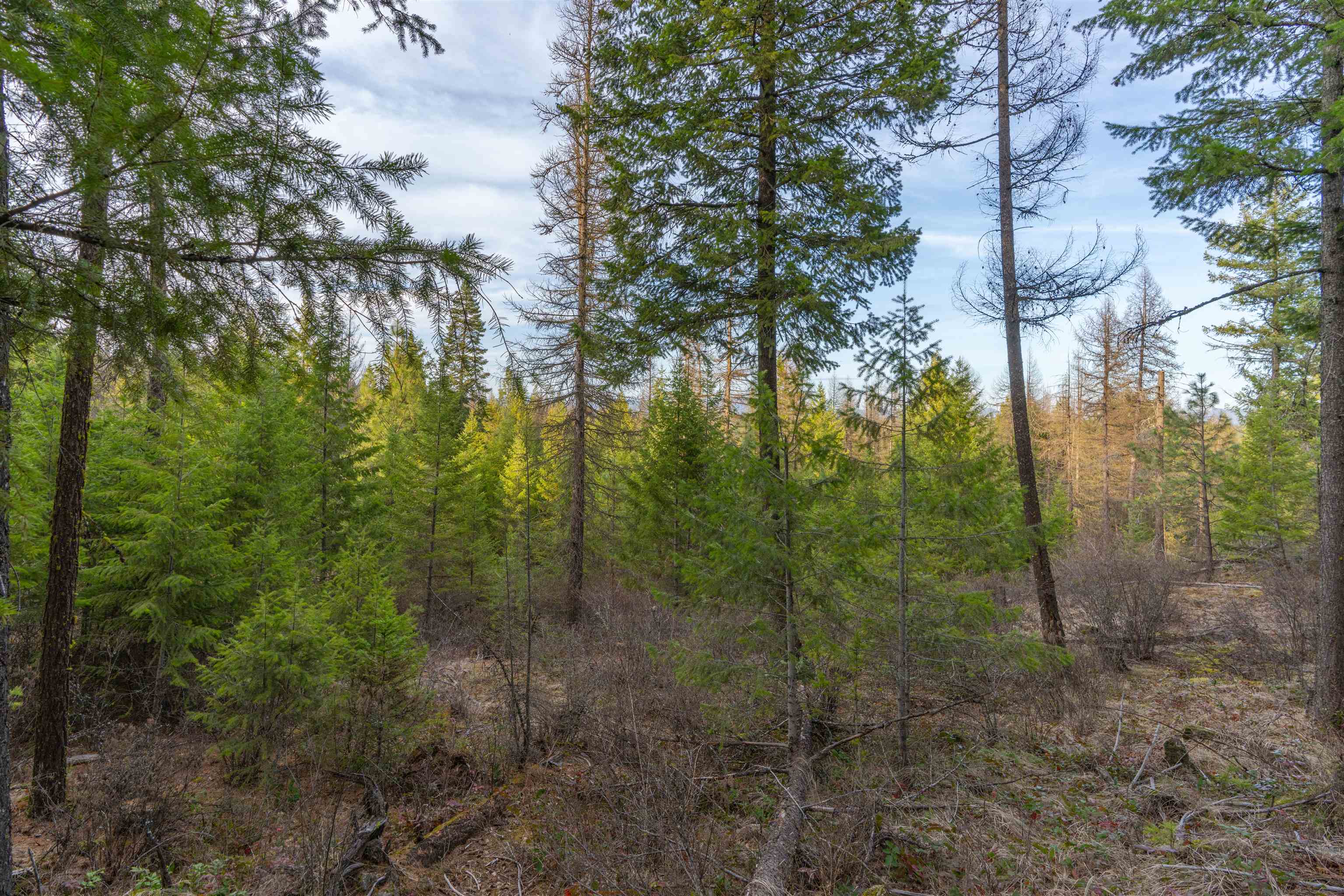 TBD LOT 30 E North Park Ln