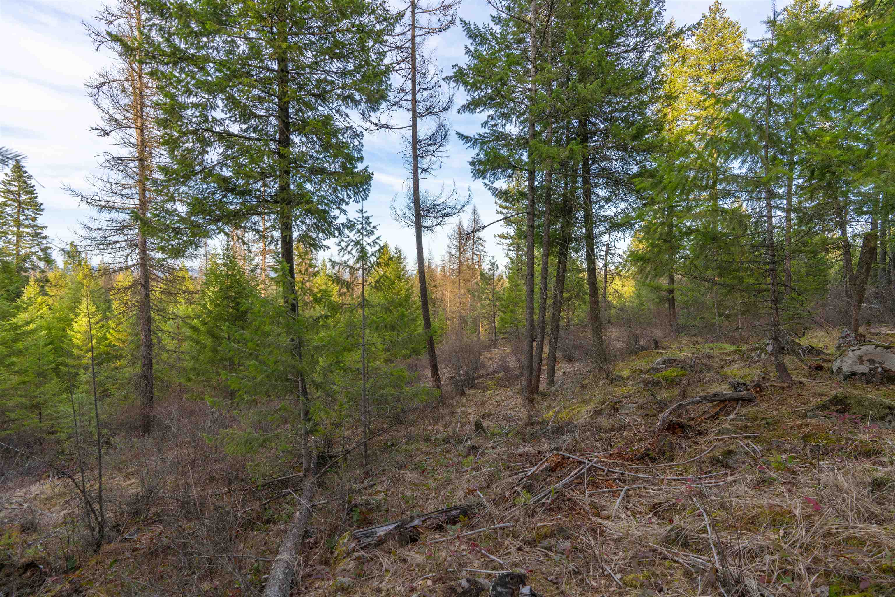 TBD LOT 30 E North Park Ln