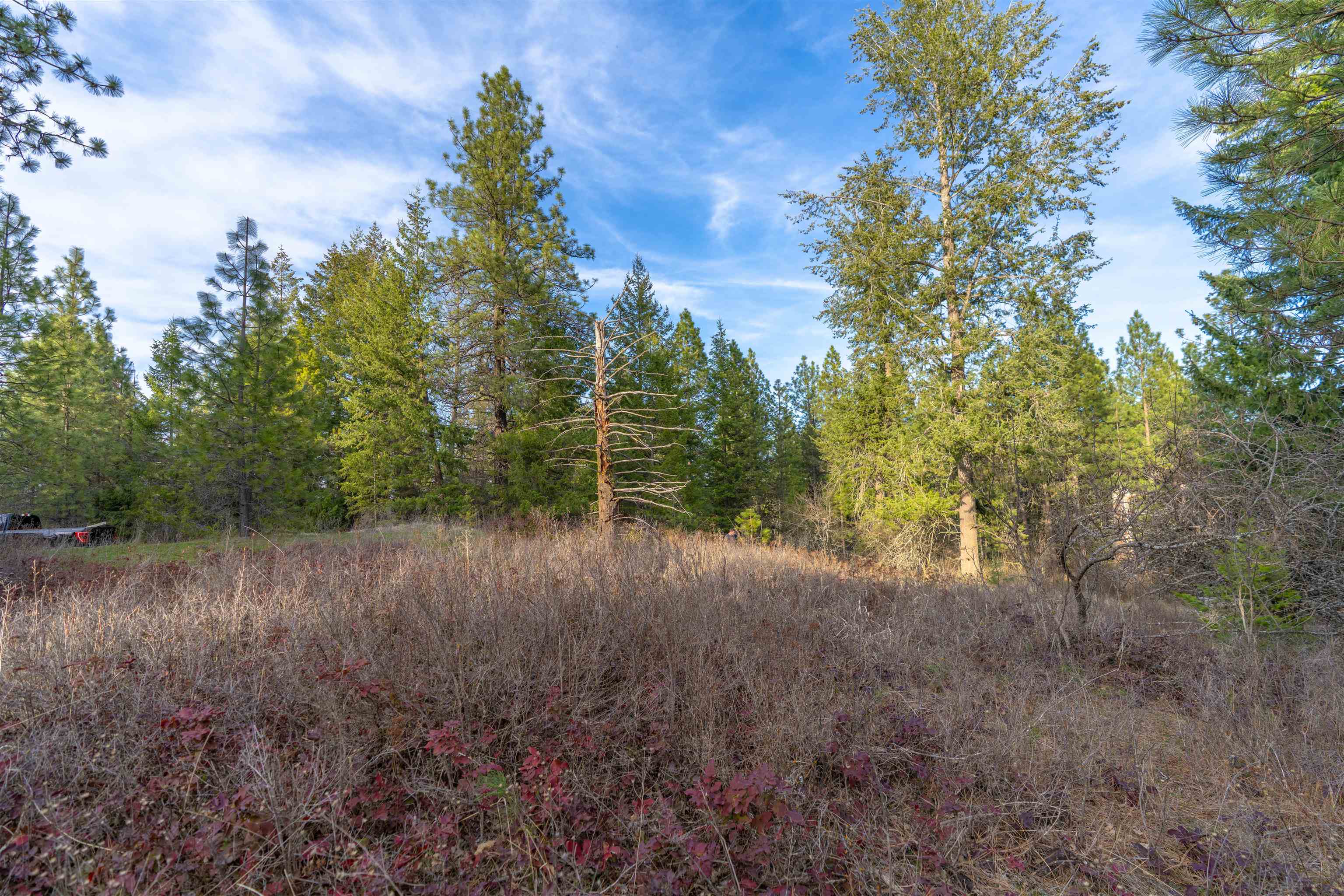 TBD LOT 30 E North Park Ln