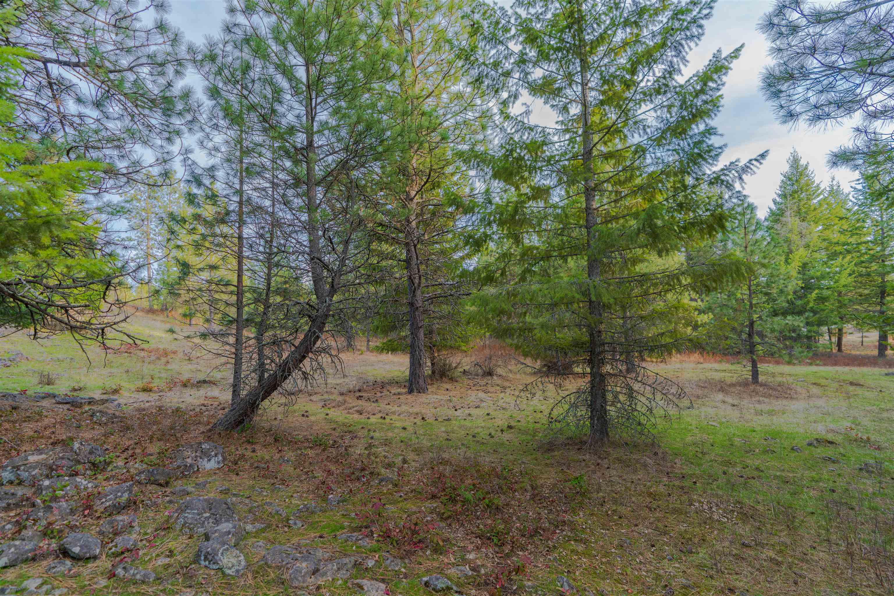 TBD LOT 30 E North Park Ln