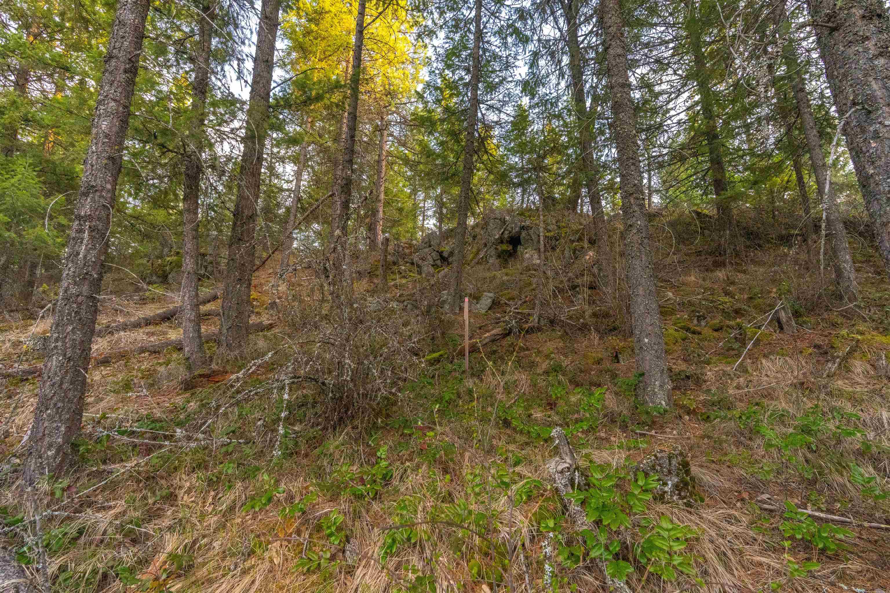 TBD LOT 30 E North Park Ln