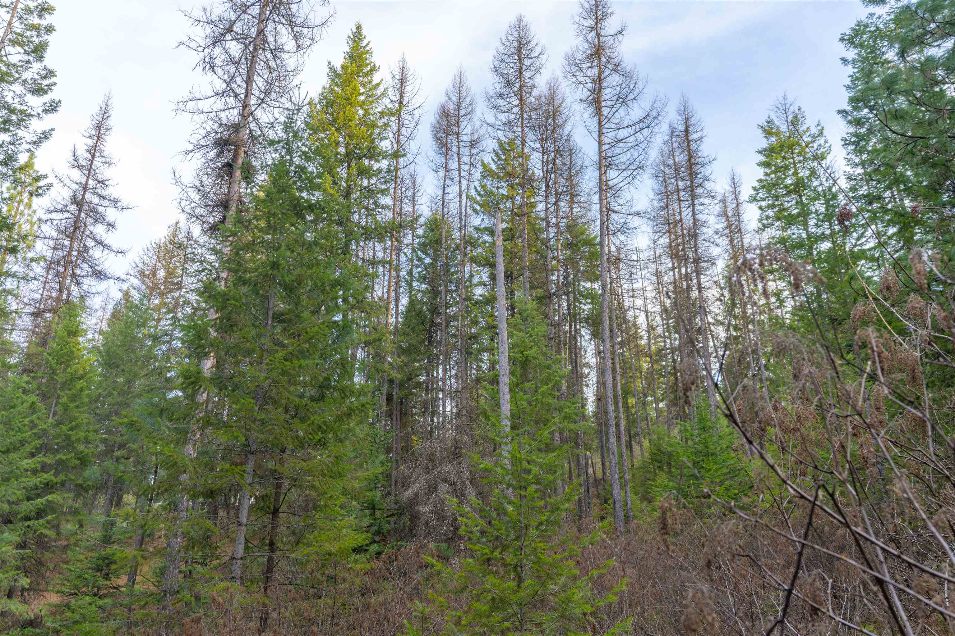 TBD LOT 30 E North Park Ln