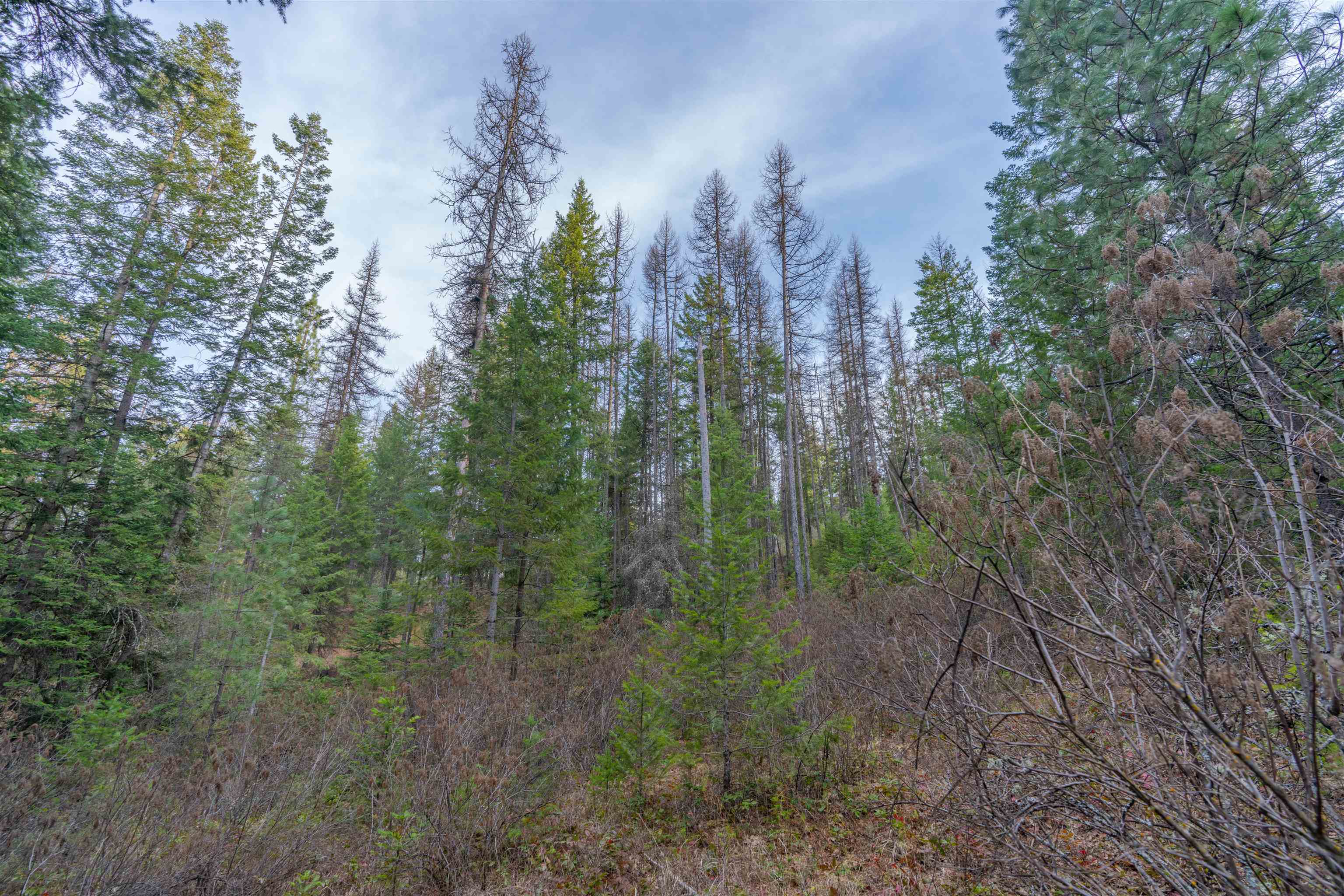 TBD LOT 30 E North Park Ln