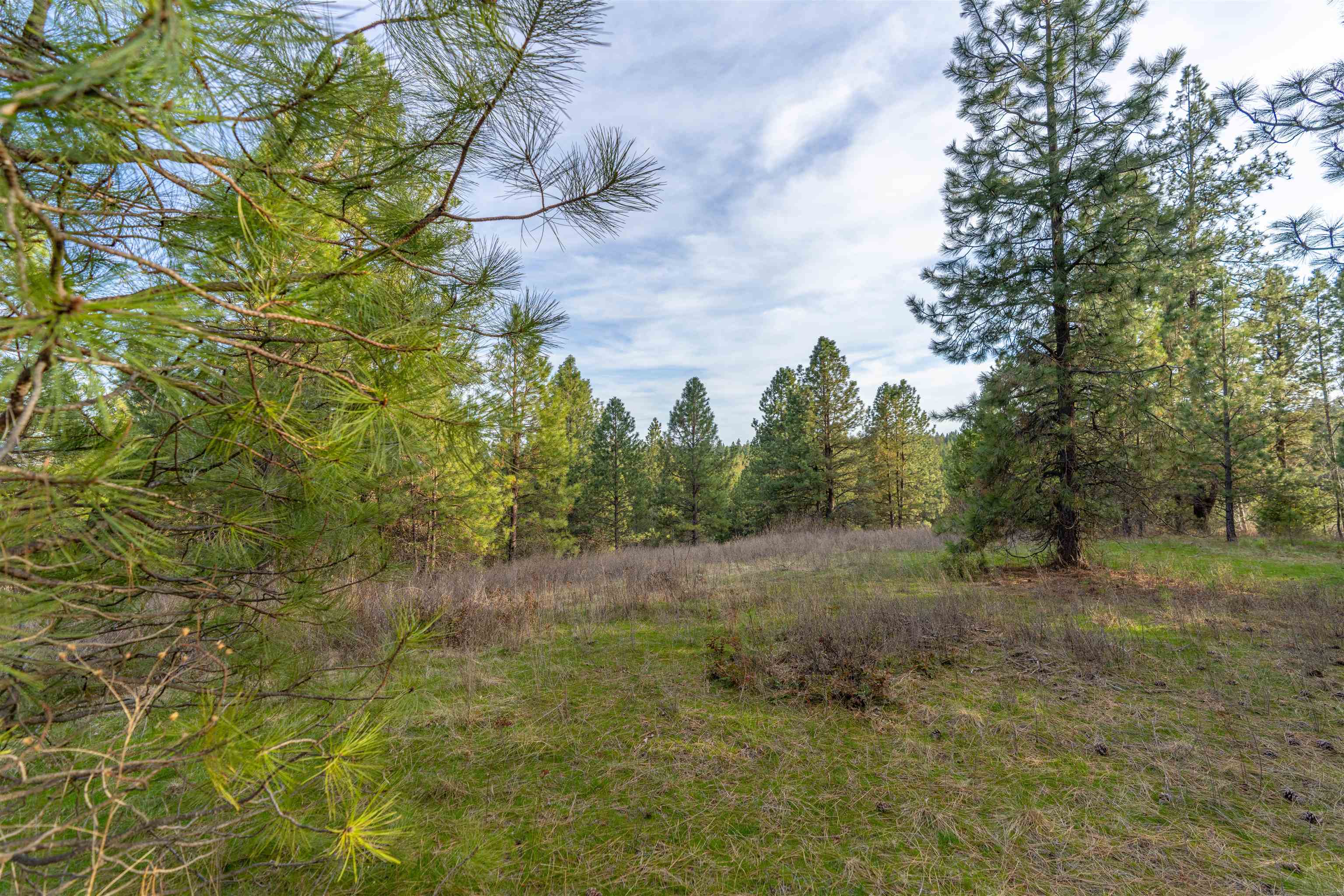 TBD LOT 30 E North Park Ln