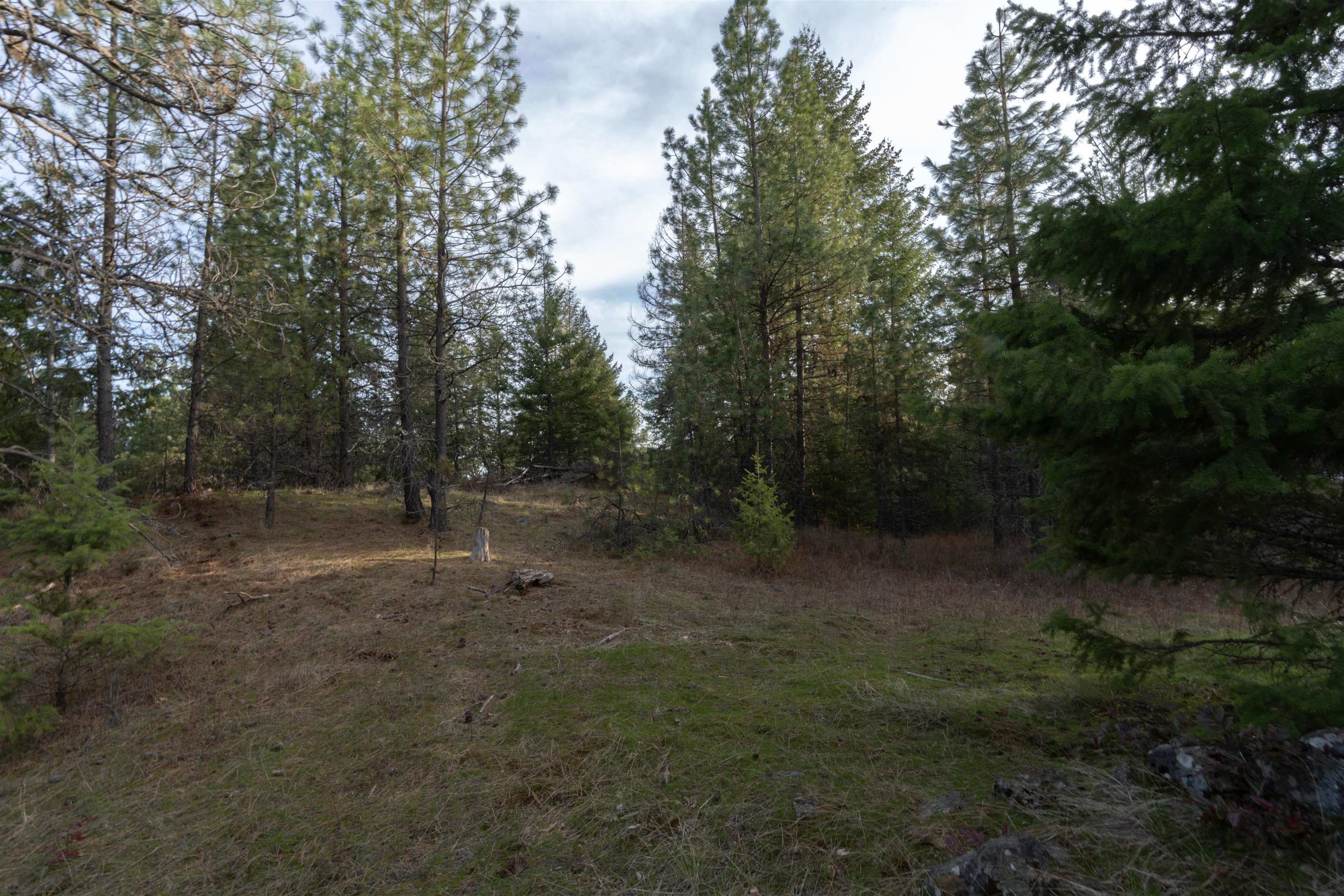 TBD LOT 30 E North Park Ln