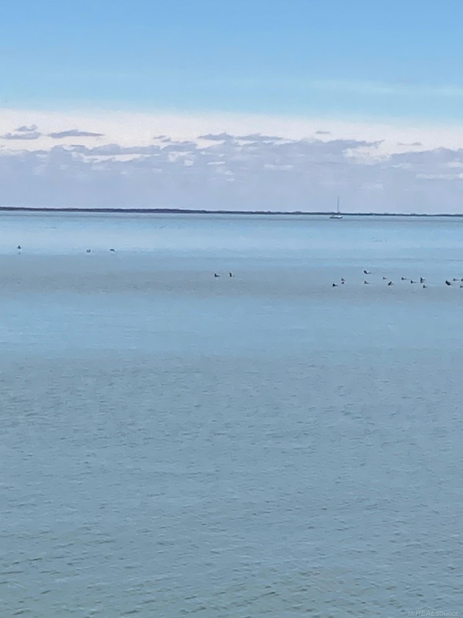 39382 Lakeshore Dr Drive