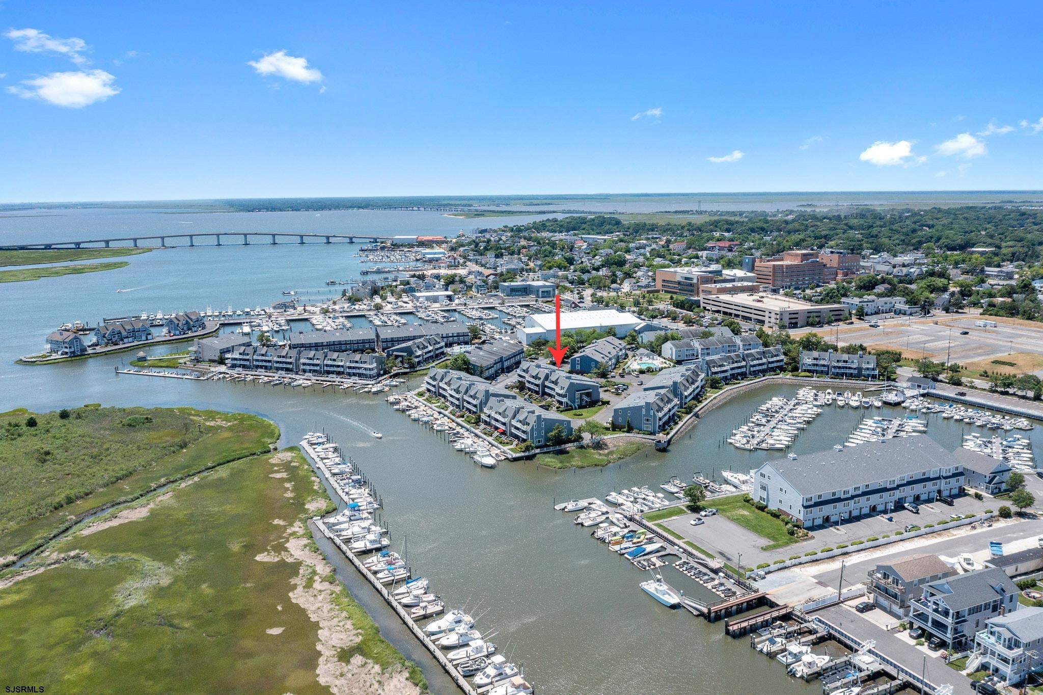 706 Harbour Cv Unit: 706