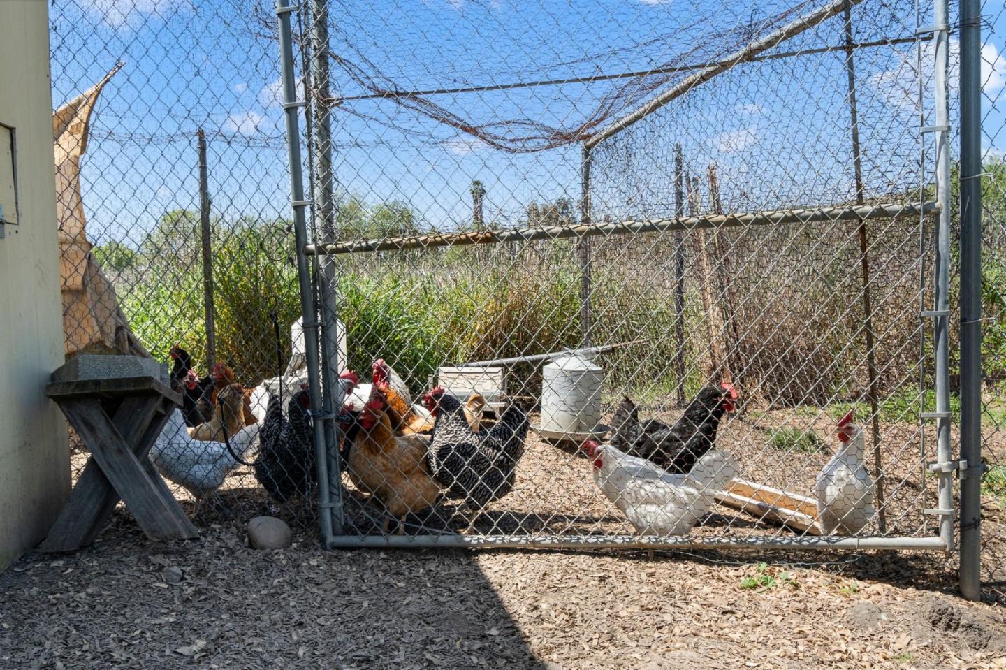 22580 San Vicente Ave