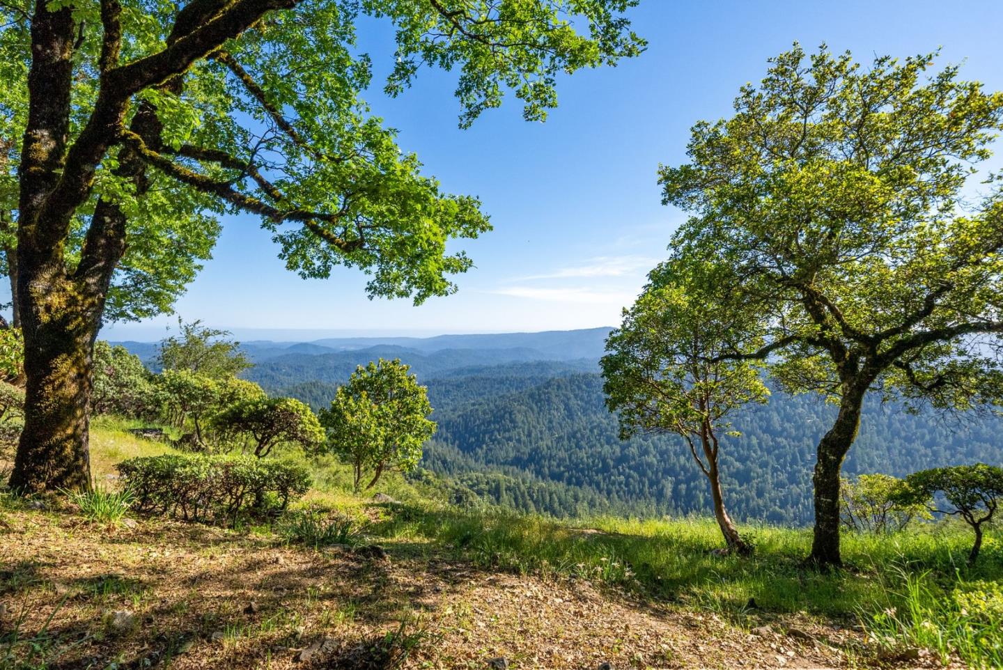 20243 Beatty Ridge RD