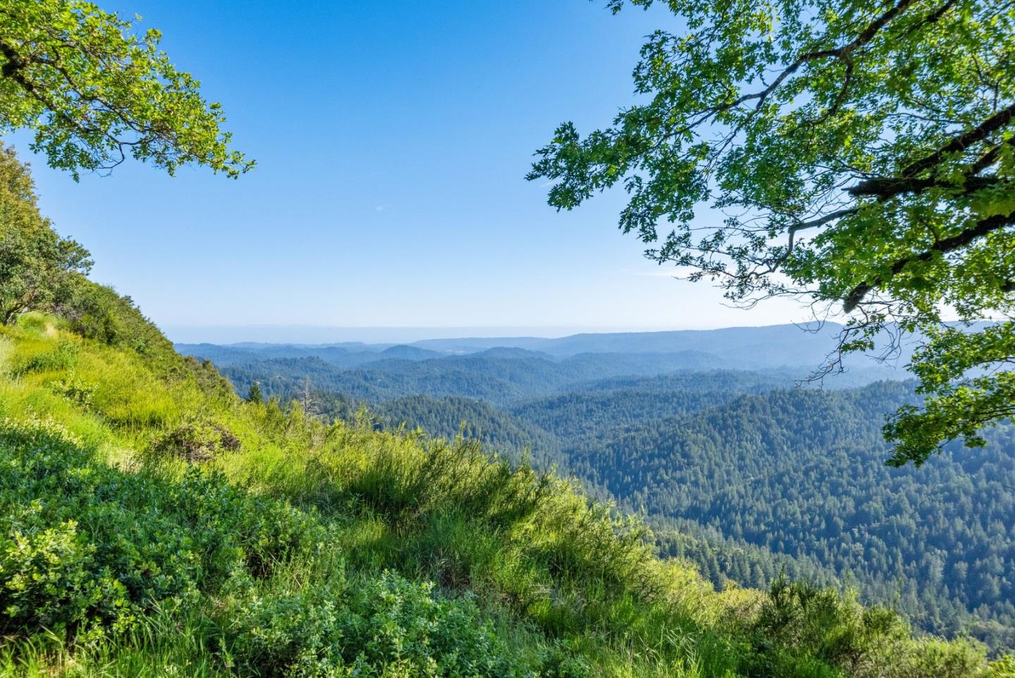 20243 Beatty Ridge RD