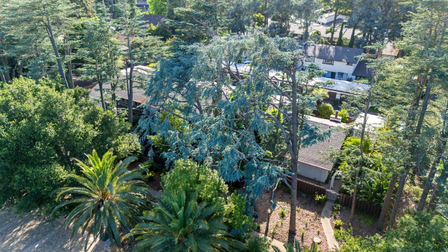 374 Serramonte Terrace