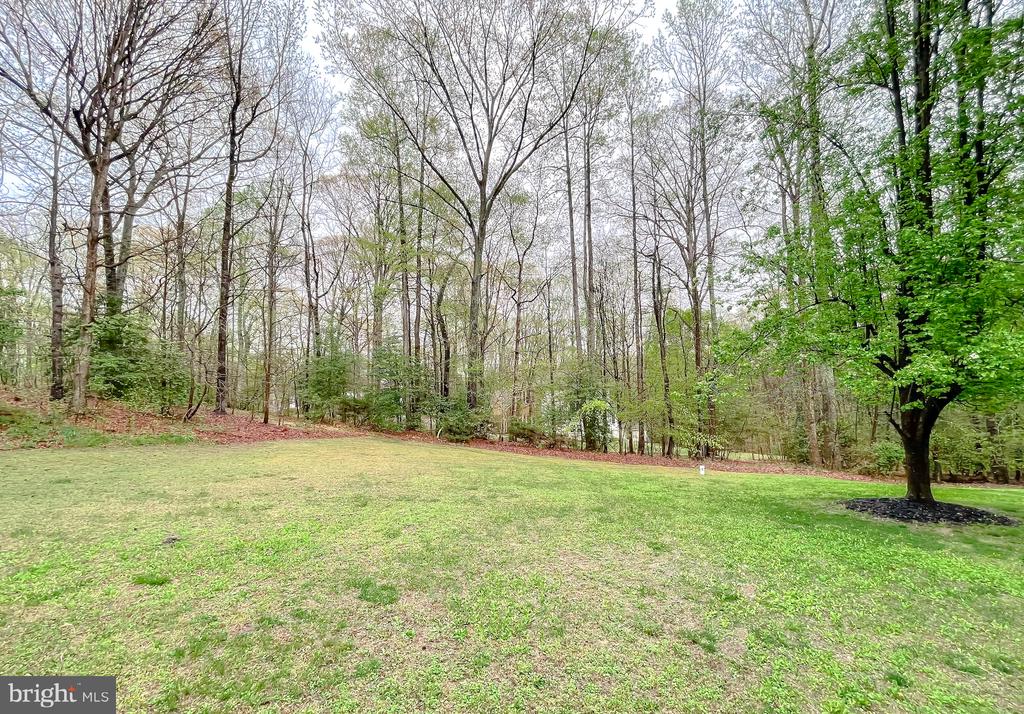 16400 Triple Crown Ct