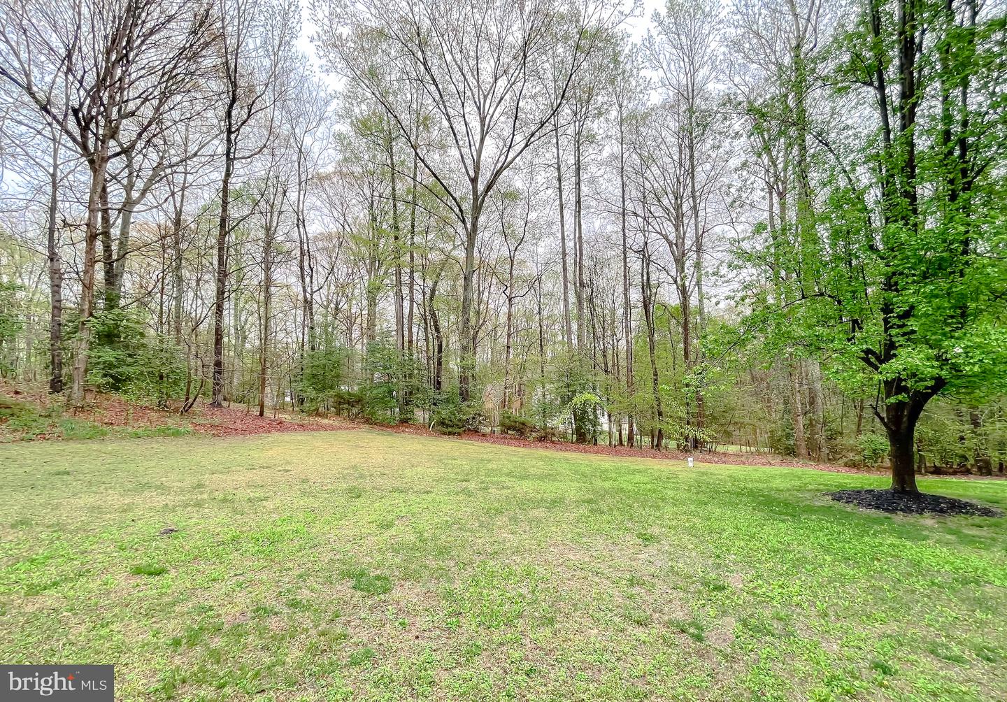16400 Triple Crown Ct