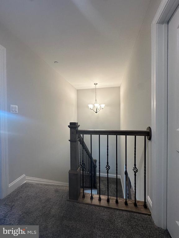 25061 Preston Ct