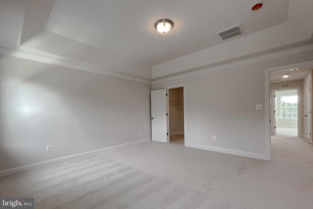 23724 DRAGONFLY LANE