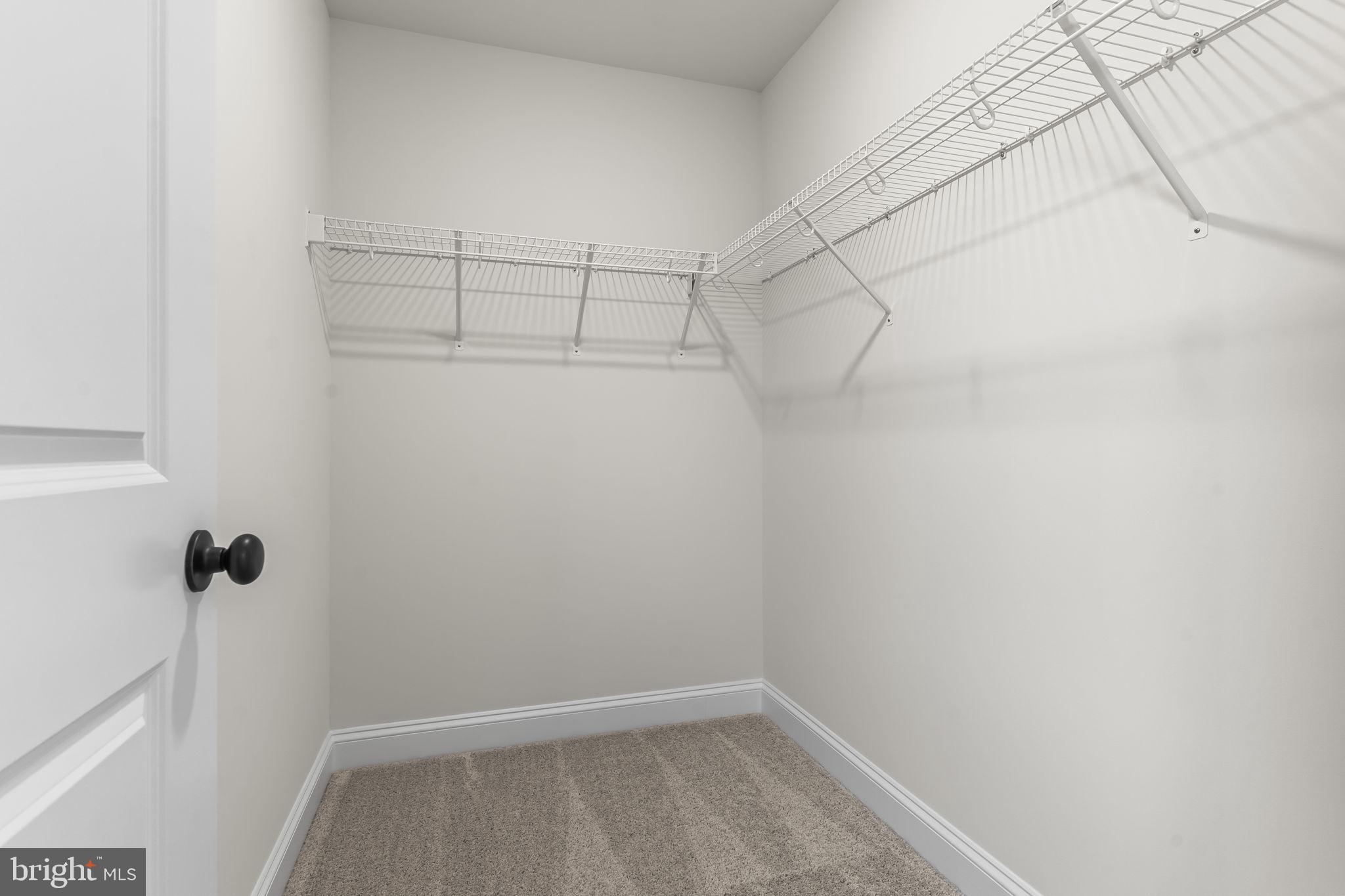 23701 DRAGONFLY LANE