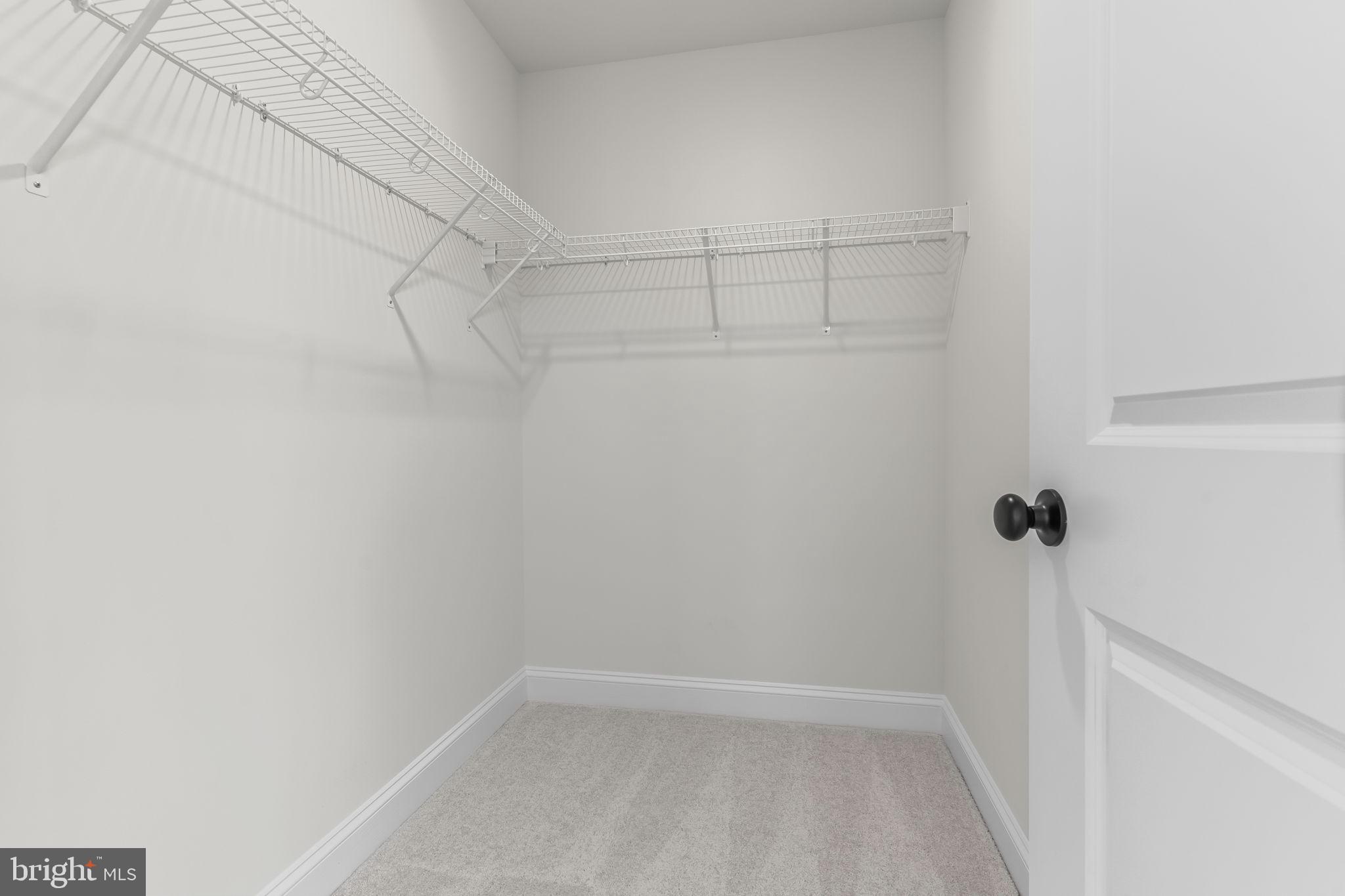 Lot 137- 23667 WEEPING WILLOW WAY