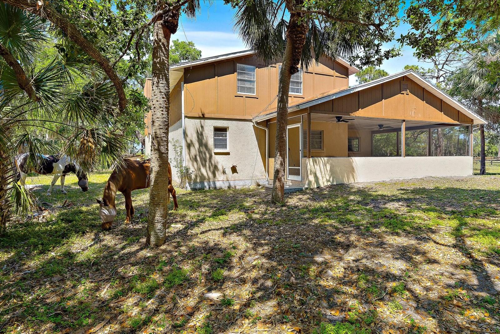 8280 IBIS ST