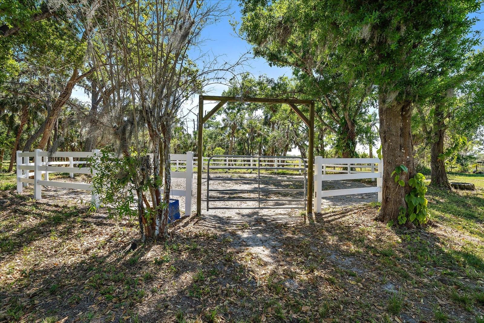 8280 IBIS ST