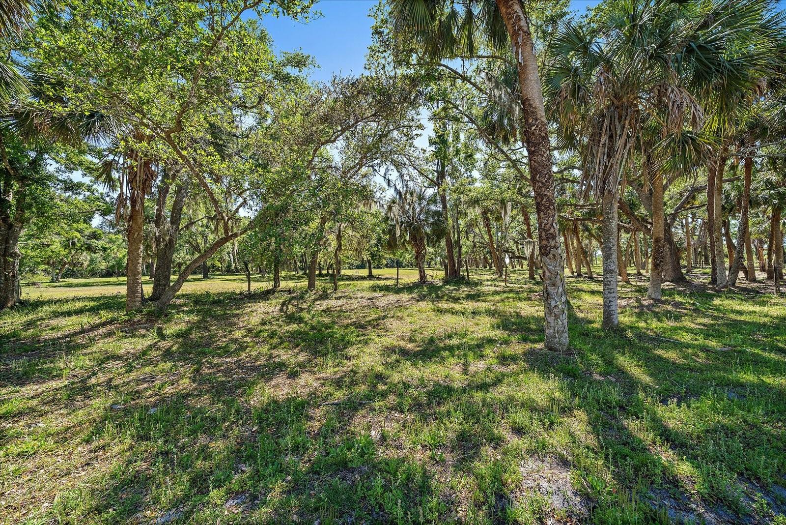 8280 IBIS ST