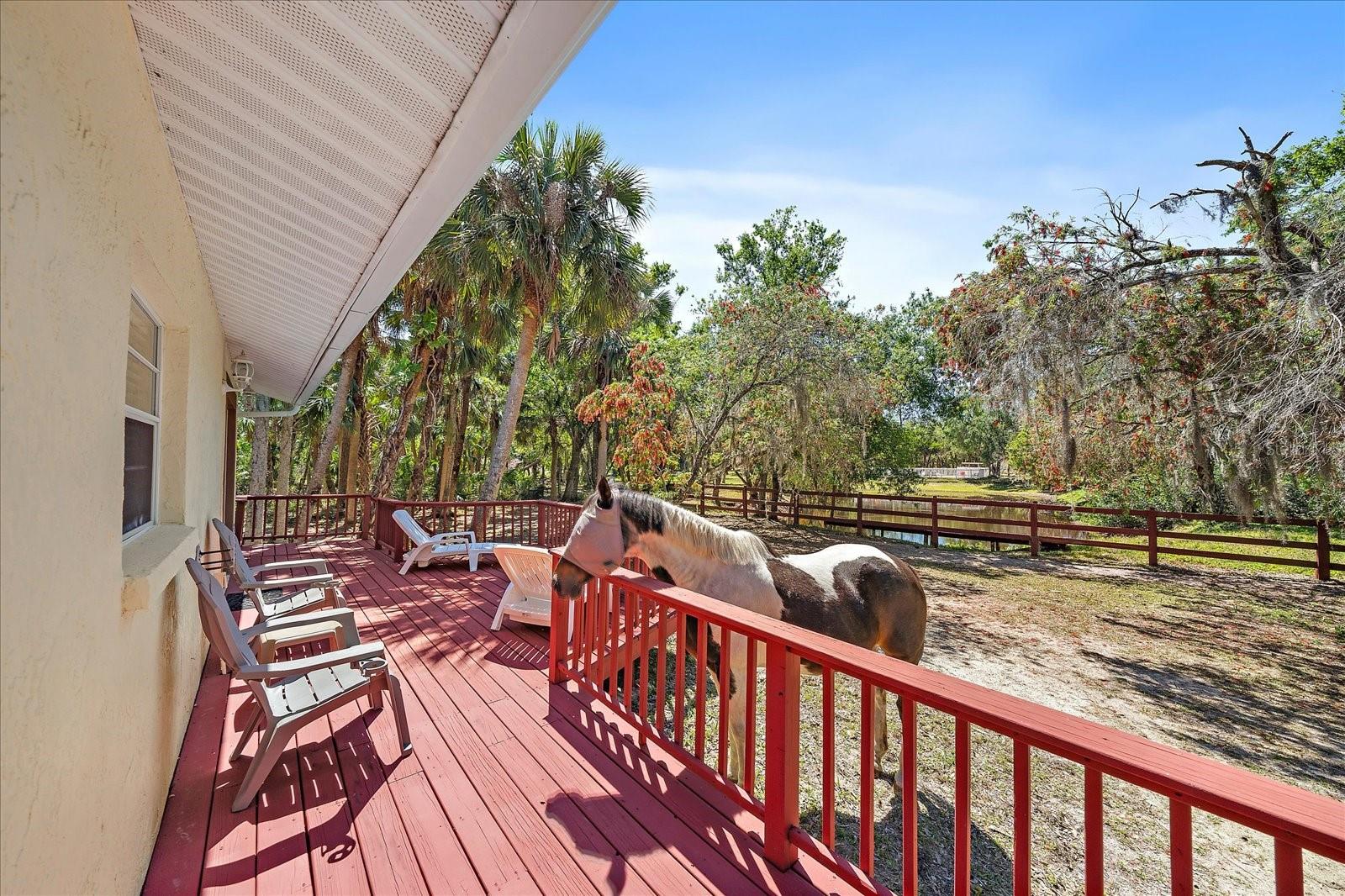 8280 IBIS ST