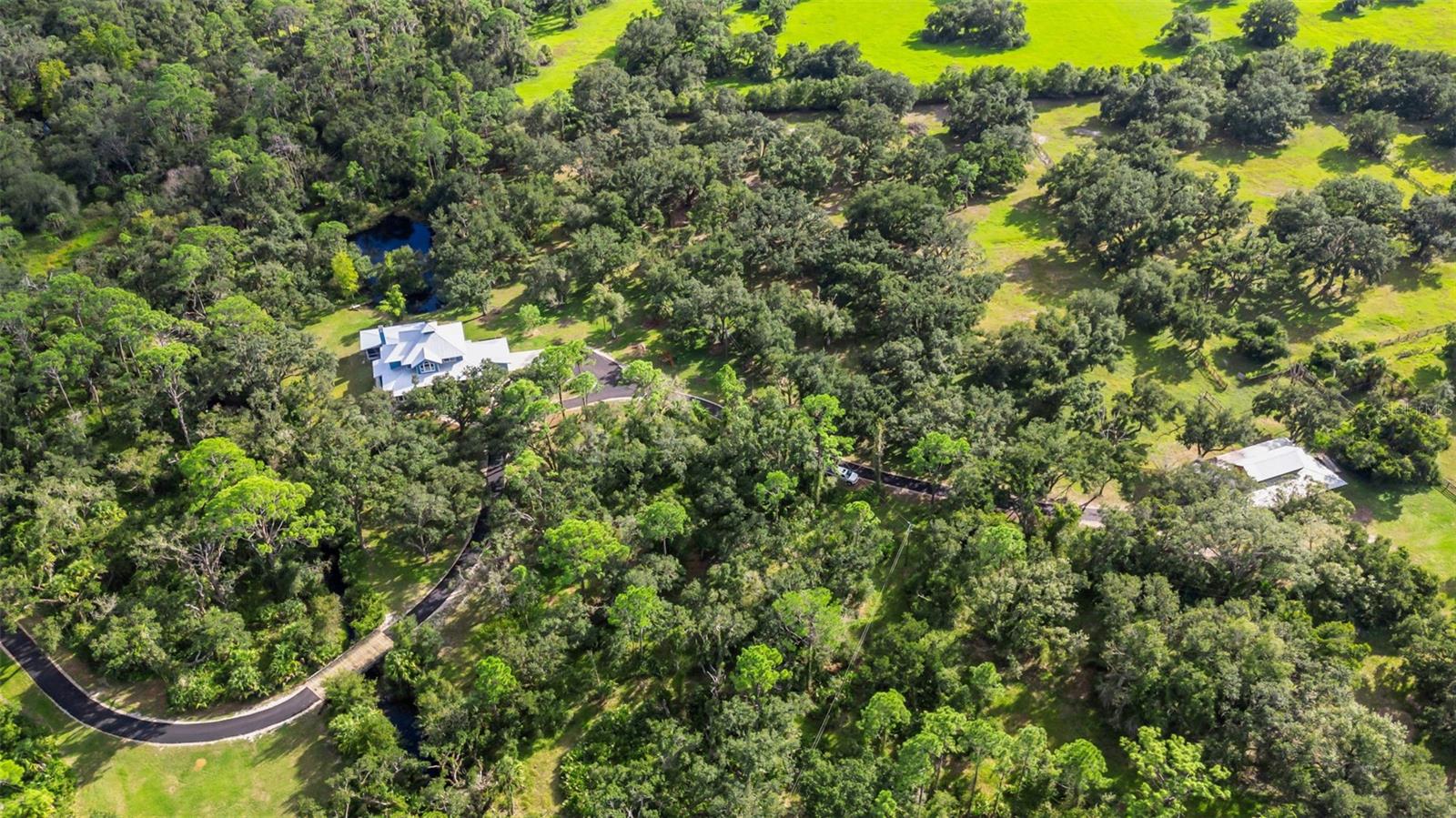 14298 MOSSY OAK LN