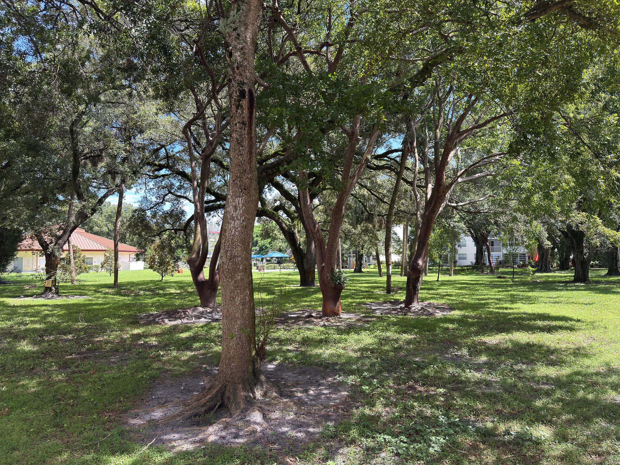 3070 NW 48TH Terrace 414