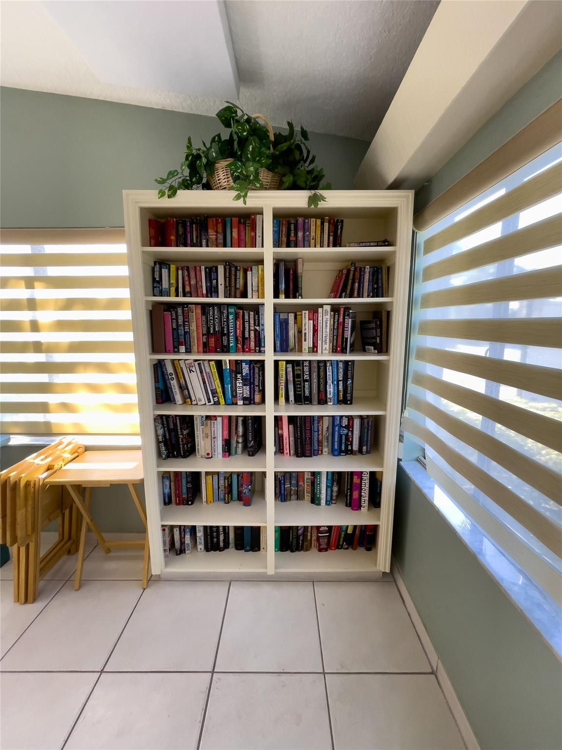 Book-filled white bookcase topped with a leafy plant between sunlit windows.