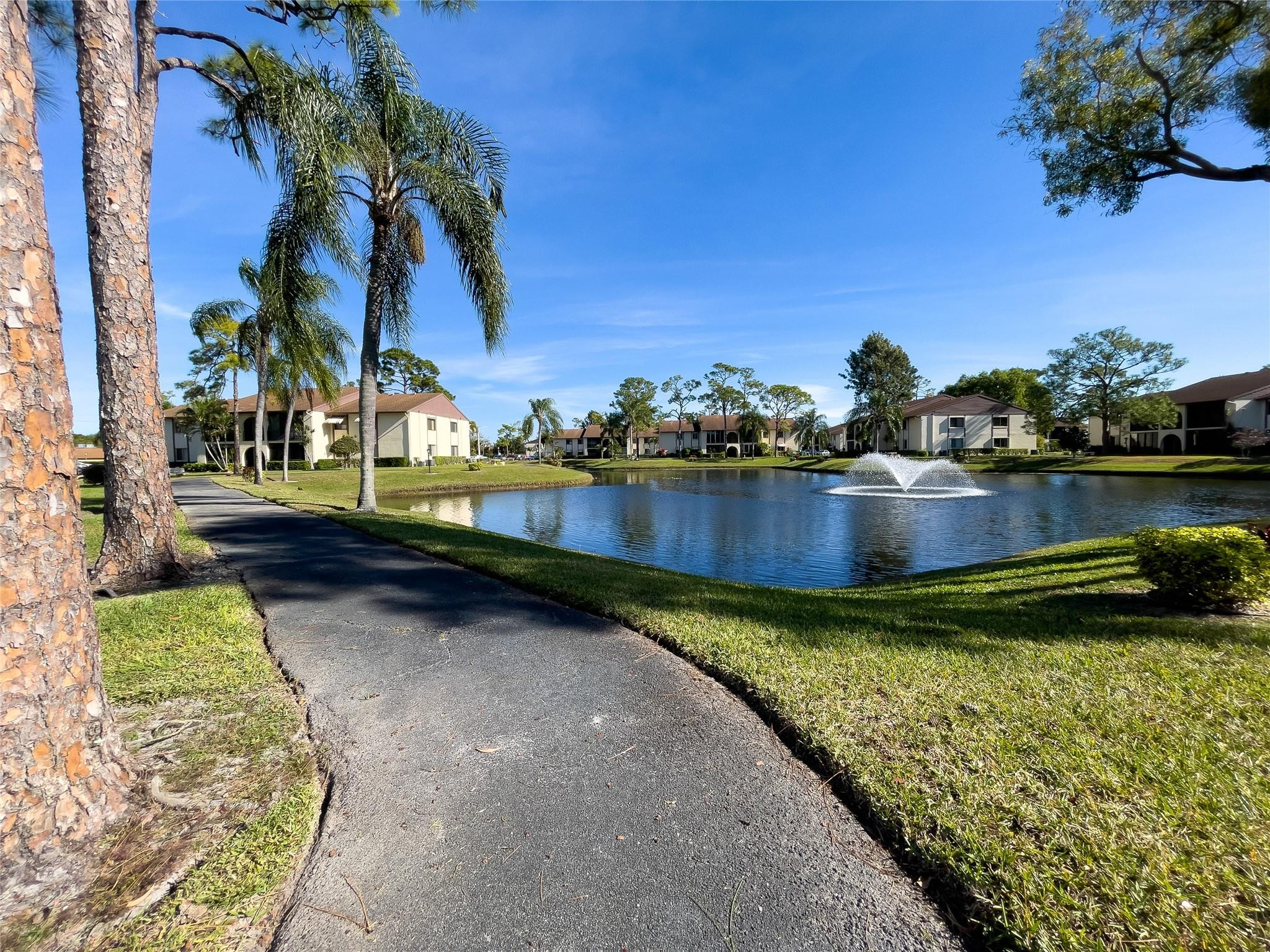 317 Knotty Pine Cir C2