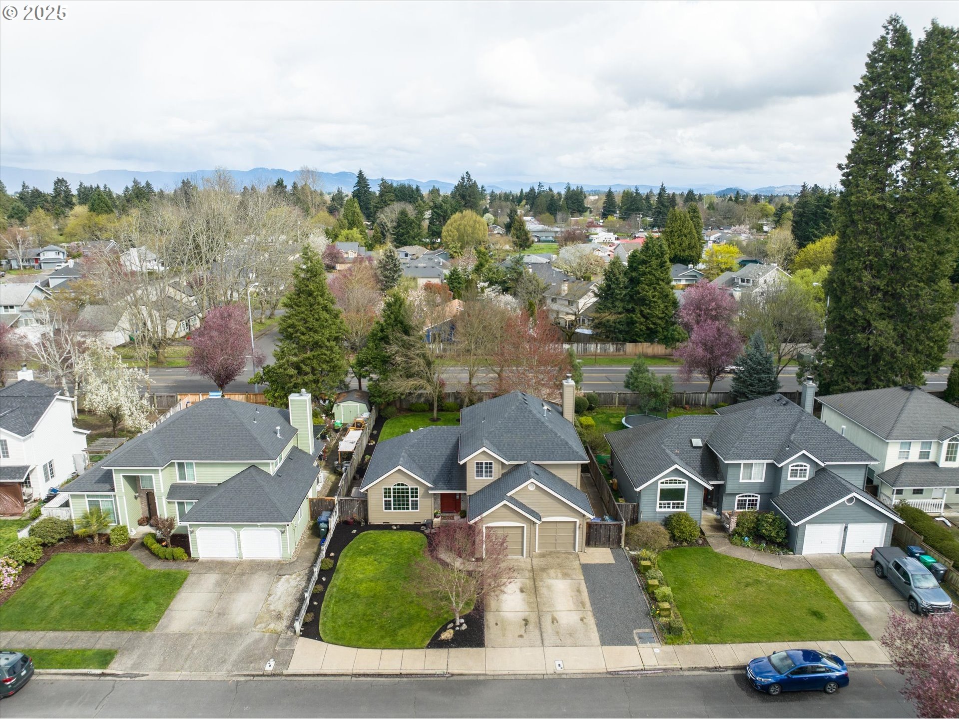 2019 LEMURIA ST