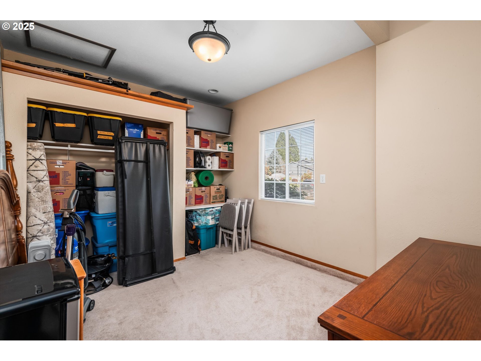 2019 LEMURIA ST