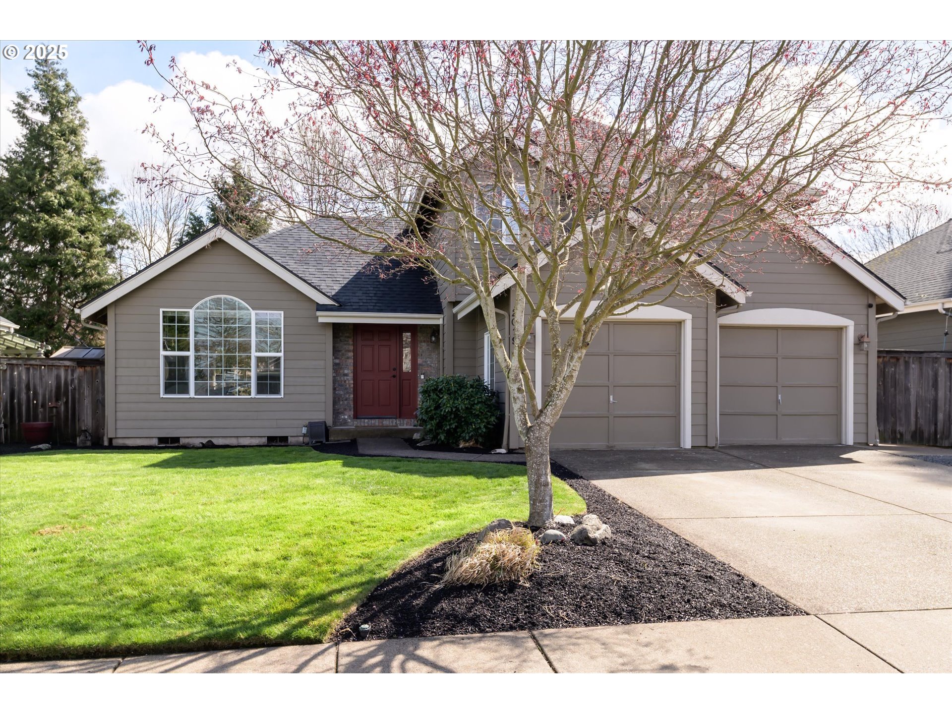 2019 LEMURIA ST