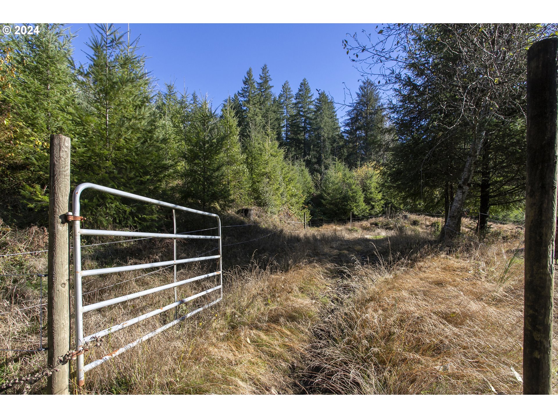 79459 HIGHWAY 53