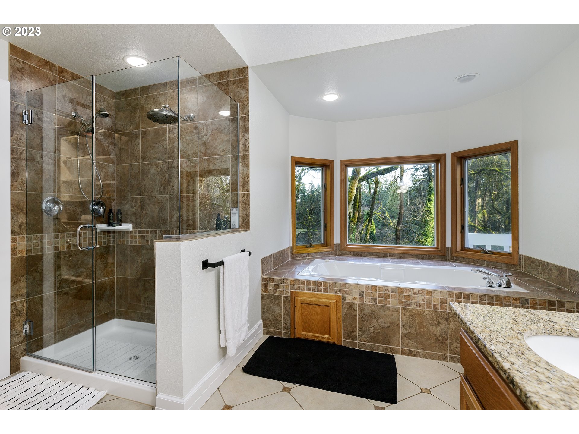 15203 LILY BAY CT
