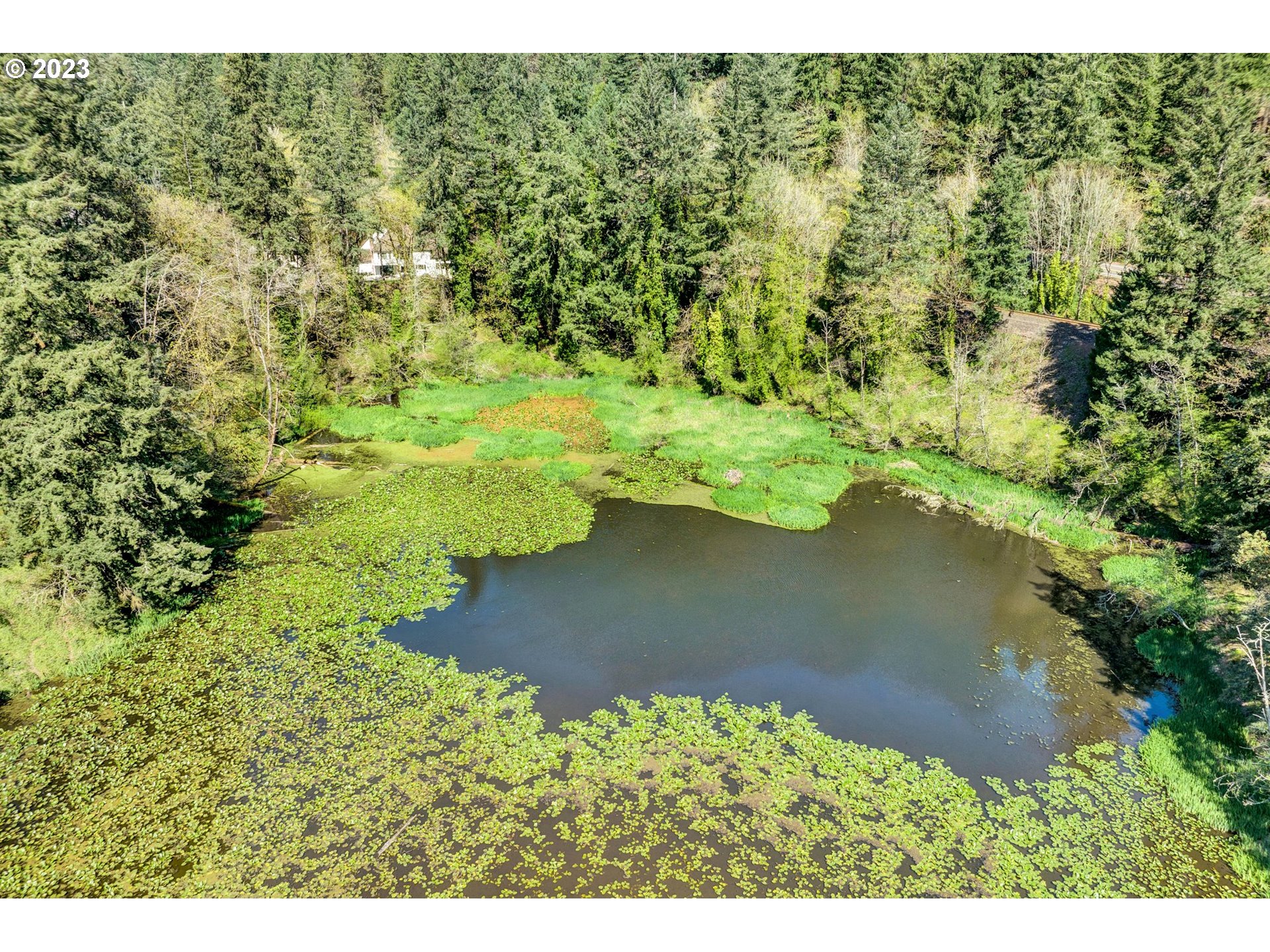 15203 LILY BAY CT