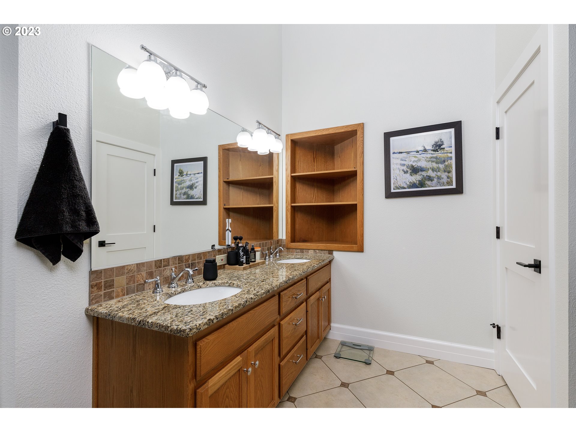 15203 LILY BAY CT