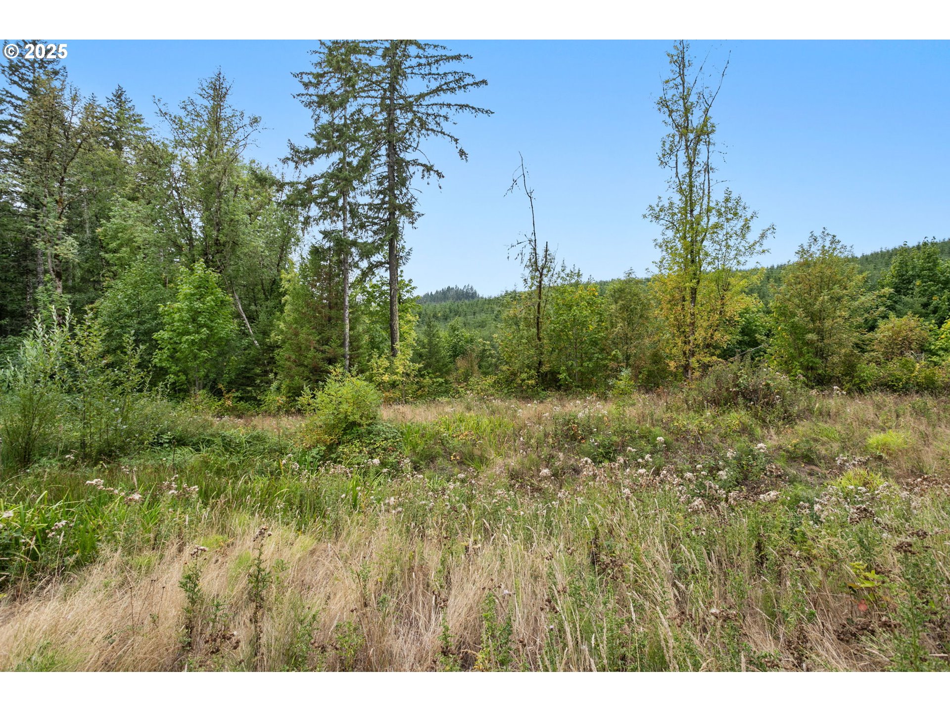 23995 SW Peavine RD, McMinnville