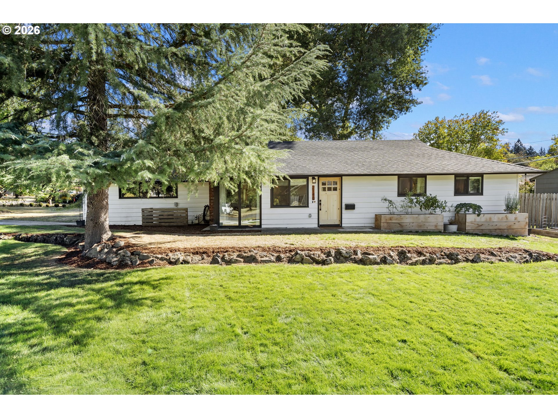 White single-story house with a cream front door, shaded by a large evergreen tree.