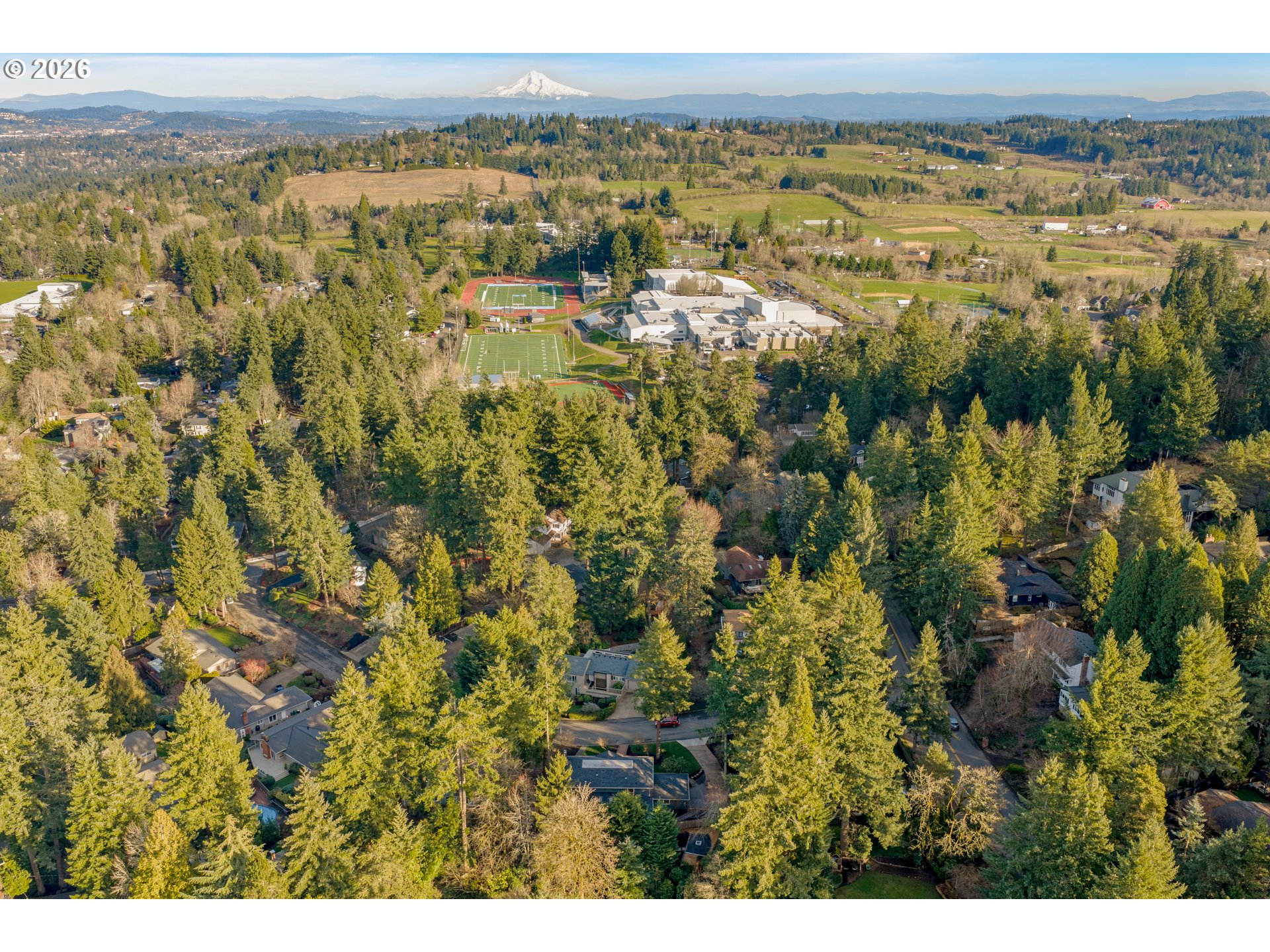 17706 TREE TOP WAY