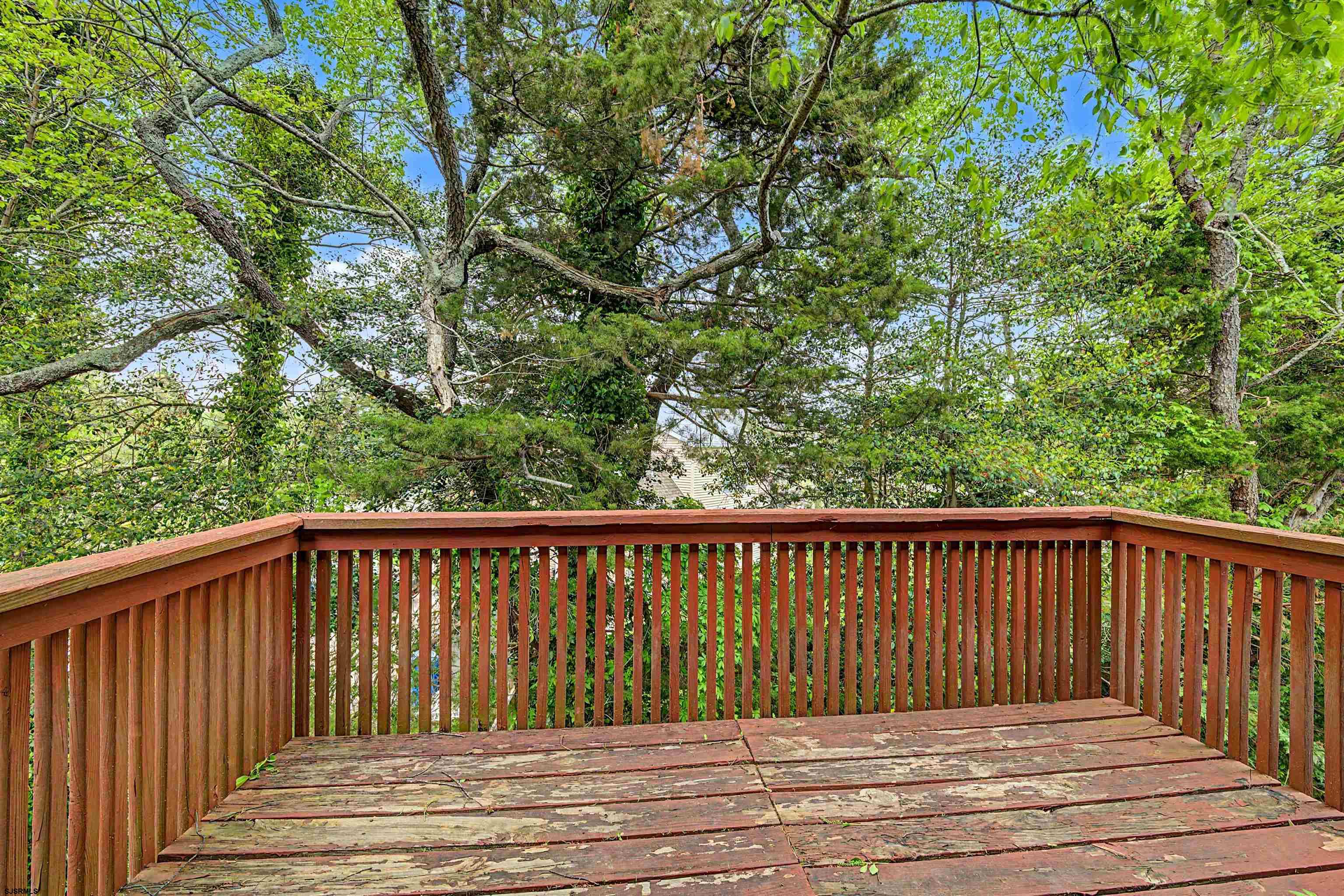 31 Ventnor Ave